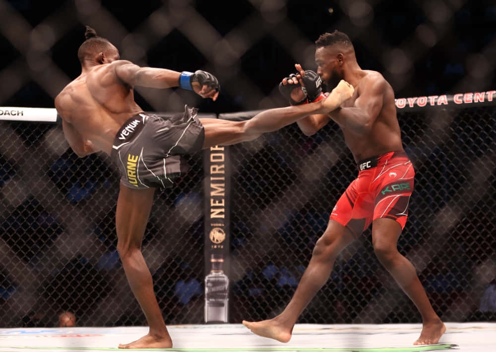 Manel Kape, cage, high kick, SD Desktop Wallpaper