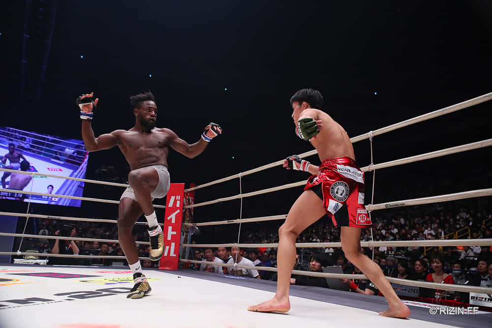 Manel Kape, MMA ring, roaring crowd, SD Desktop Wallpaper