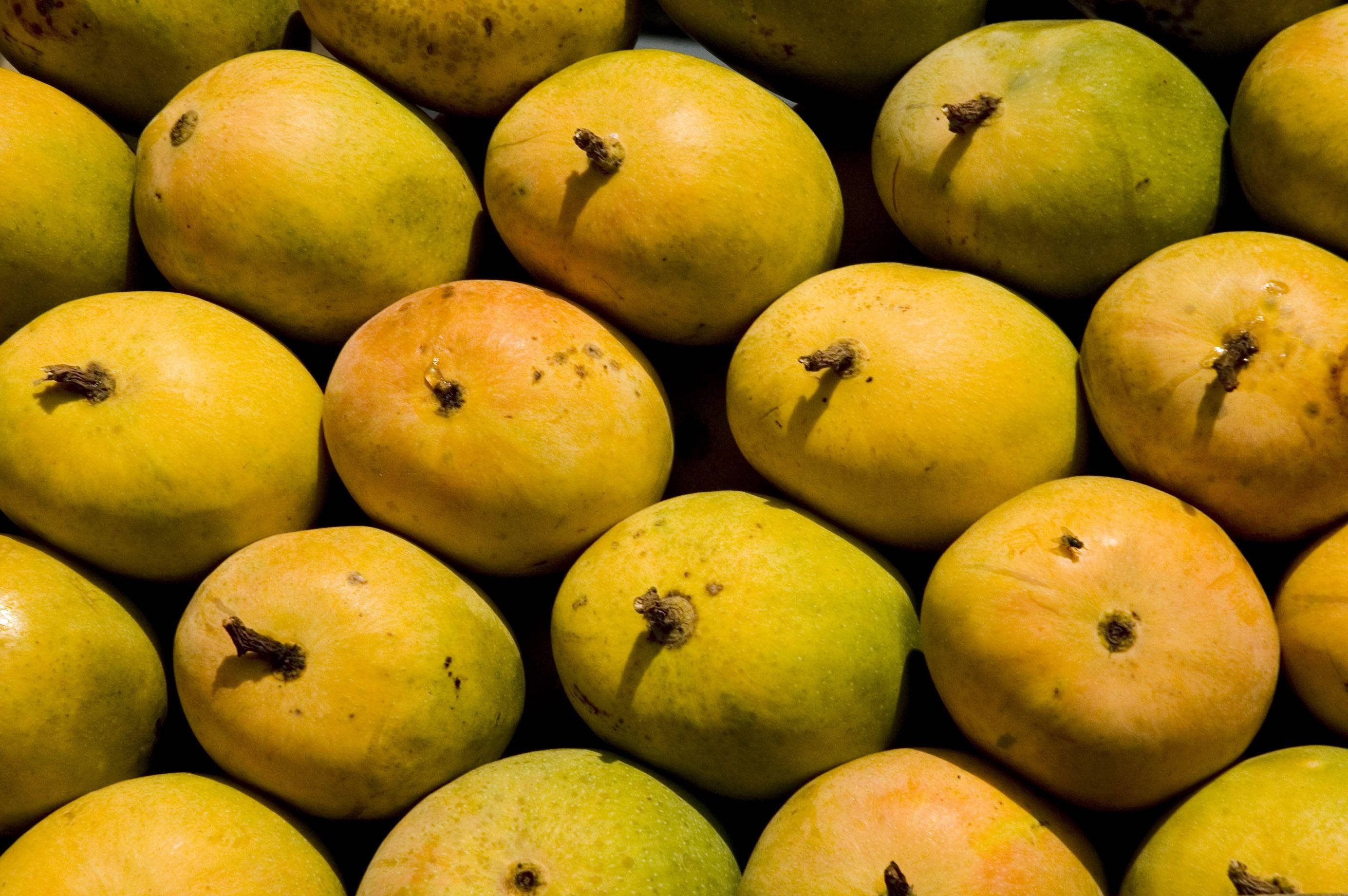 ripe mango fruits, yellow and green skin, natural texture, 2K Desktop Wallpaper
