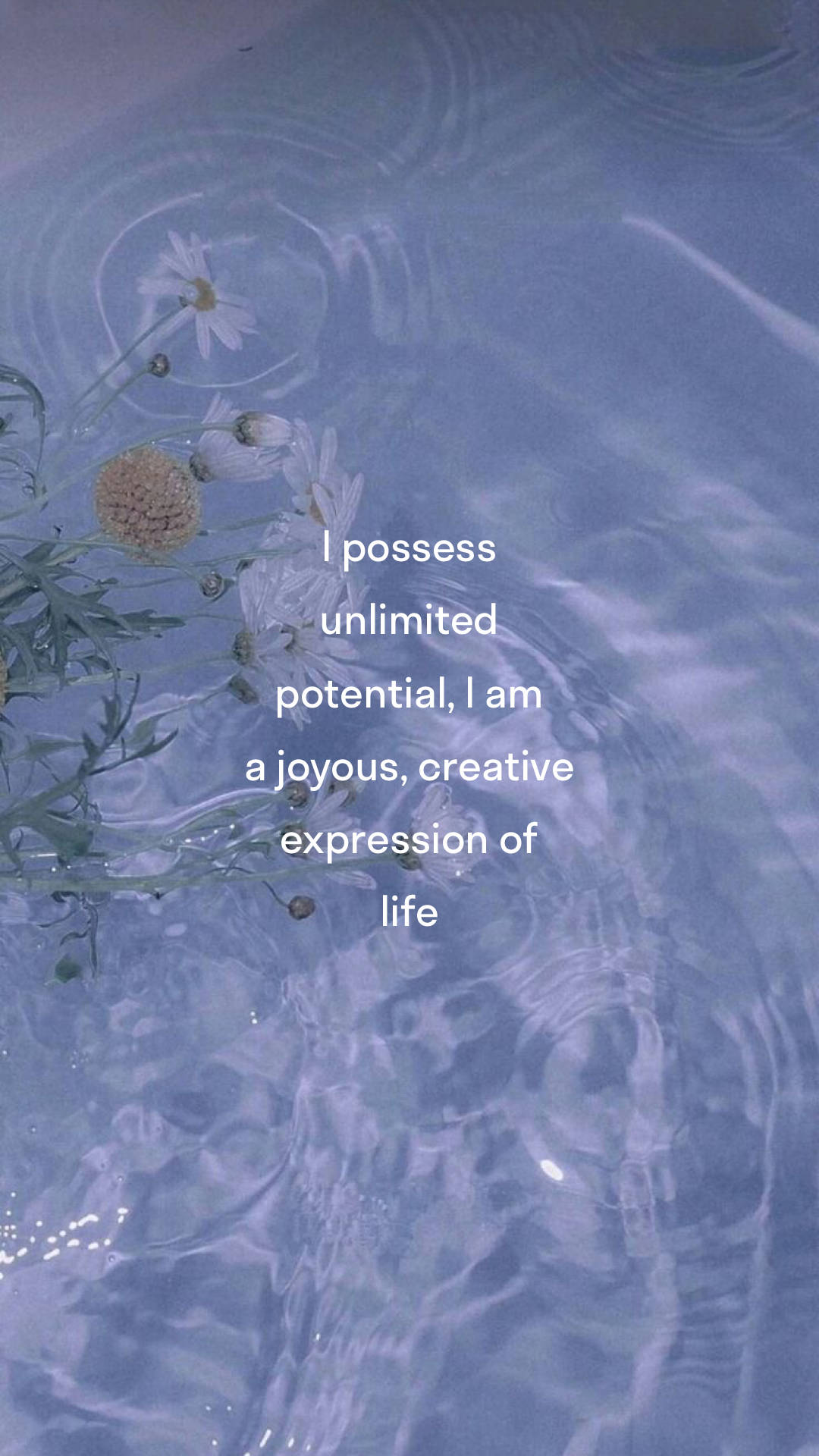 Manifest, unlimited potential, white daisies, Full HD Phone Wallpaper
