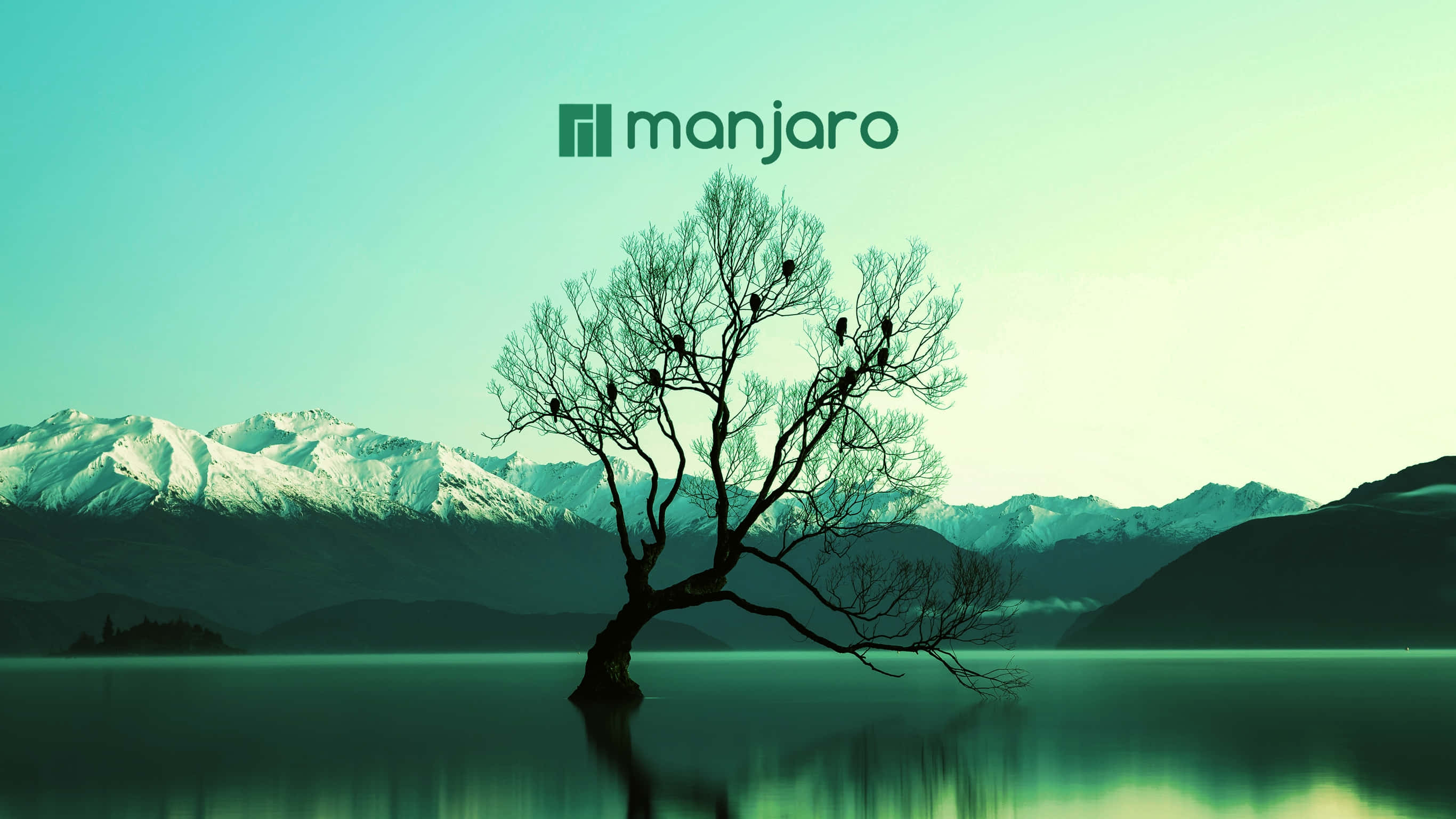 Manjaro, teal sky, bare tree, 2K Desktop Wallpaper