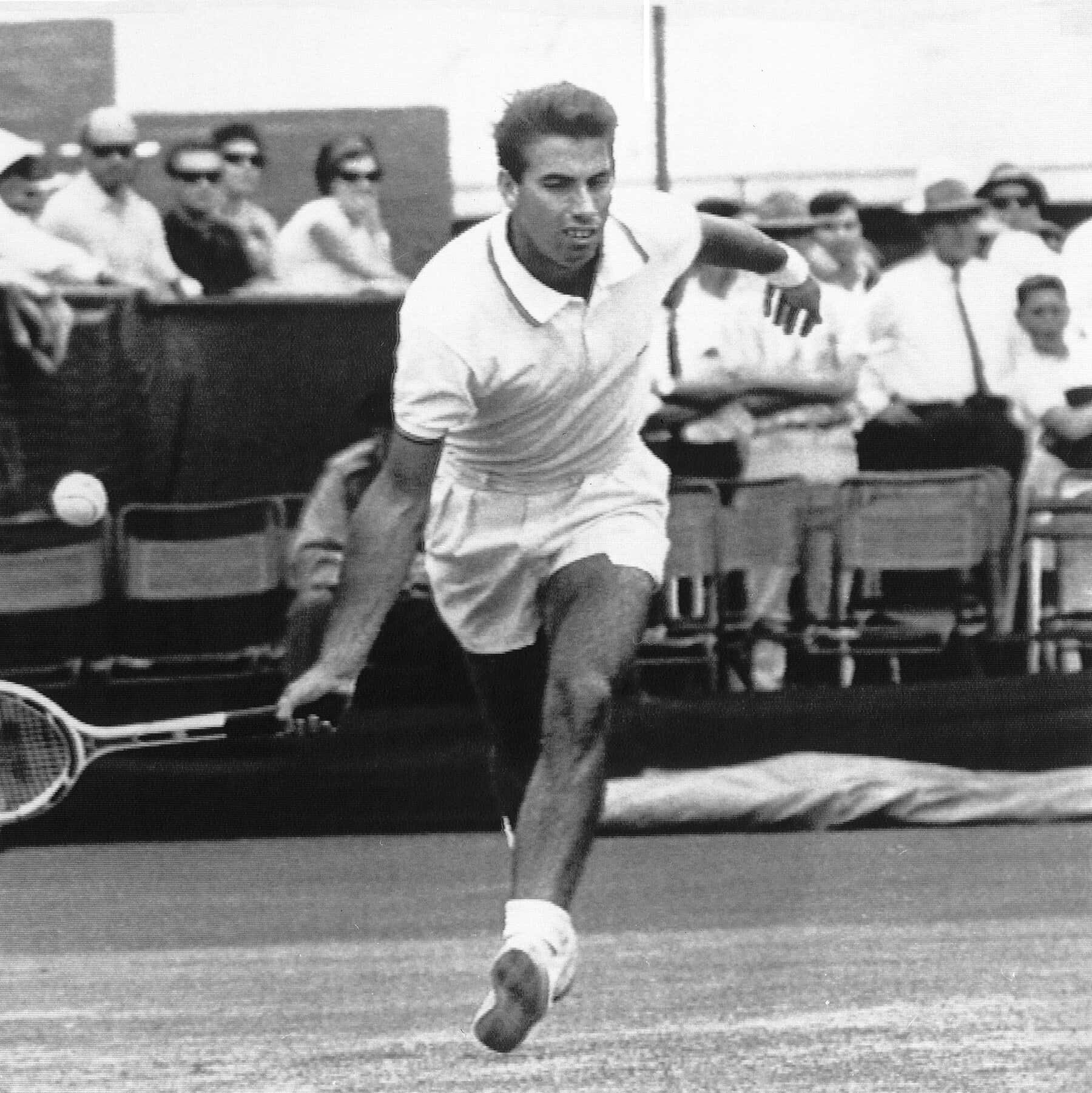 Manuel Santana, tennis player, grass court, HD Phone Wallpaper