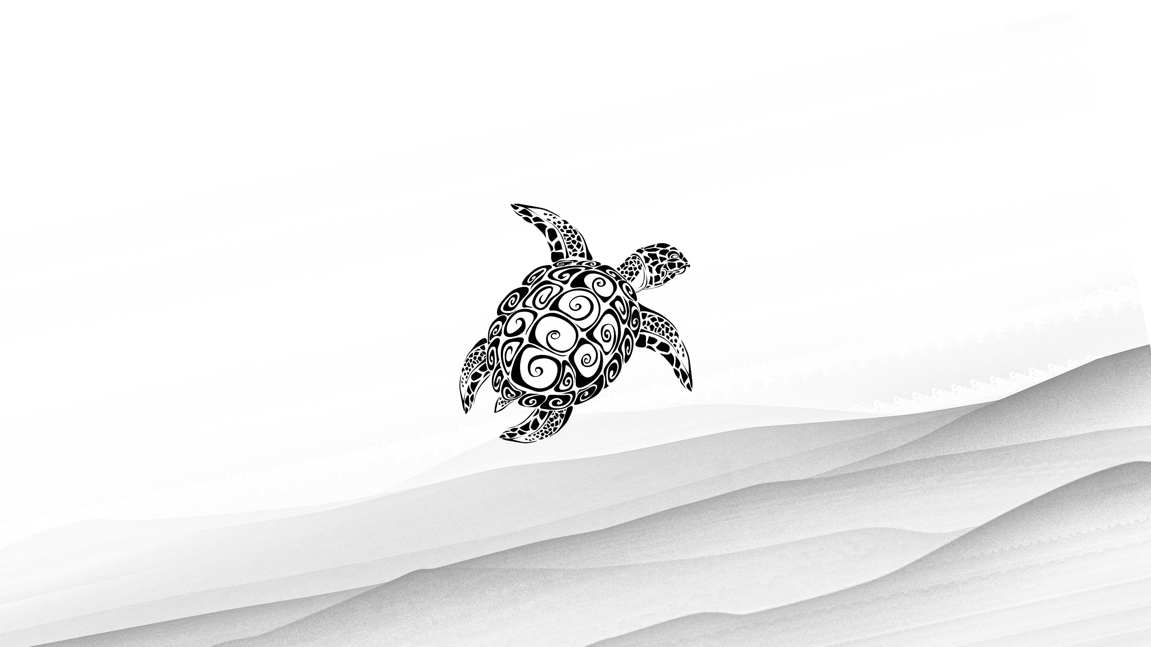 black turtle, sea turtle, black and white, 4K Desktop Wallpaper