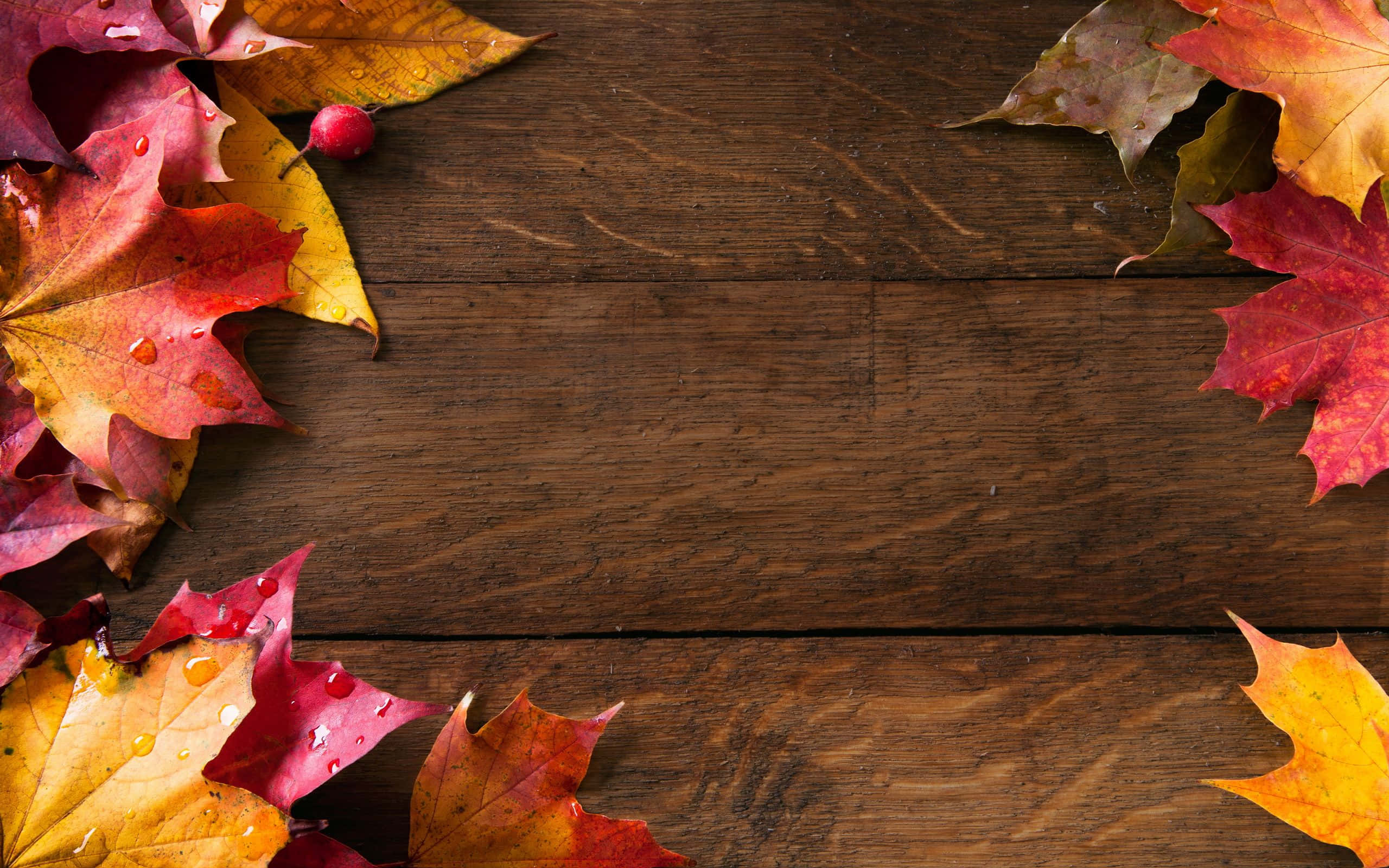 cozy fall desktop, maple leaves, flat lay, 2K Desktop Wallpaper