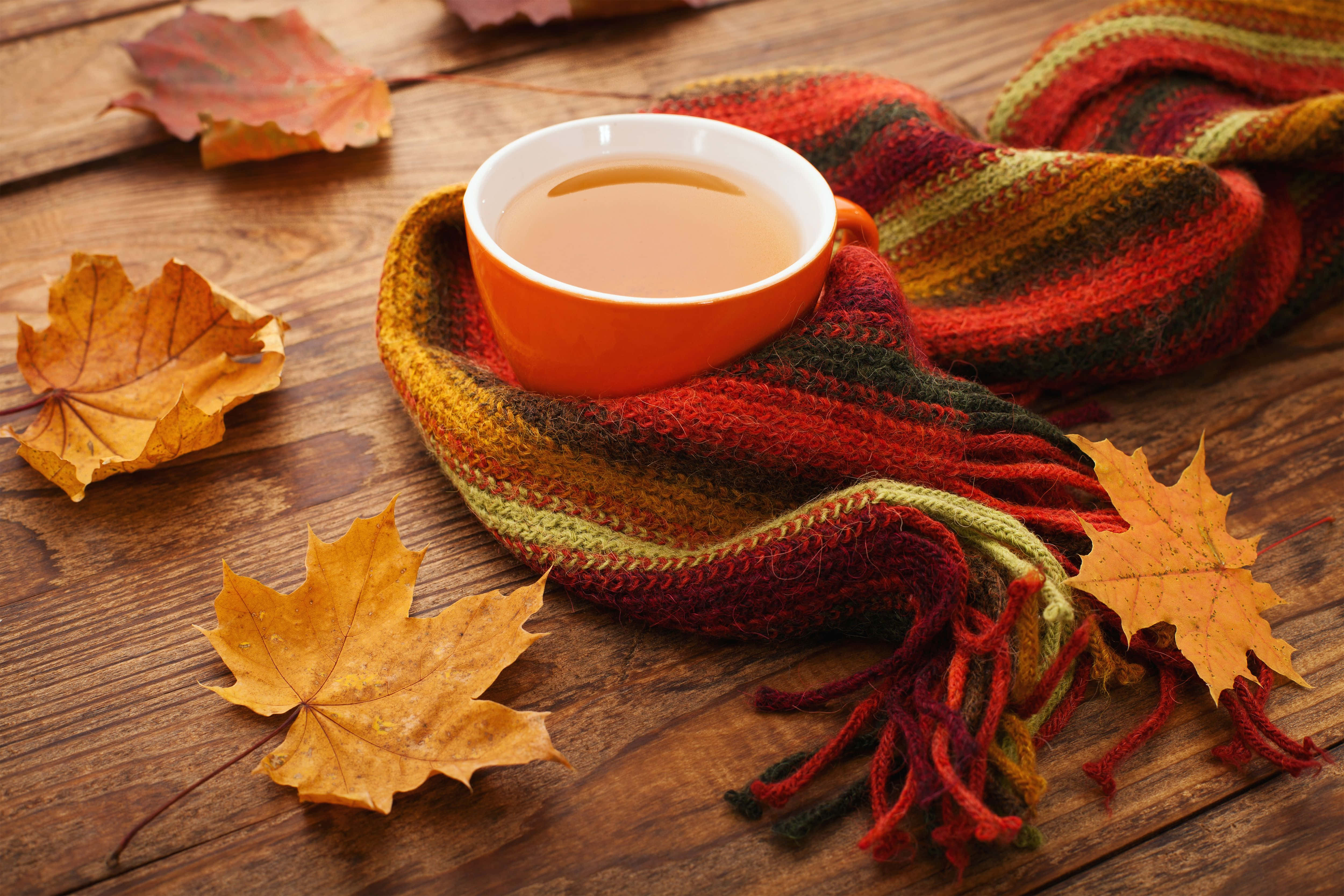 cozy fall desktop, tea, maple leaves, 4K Desktop Wallpaper