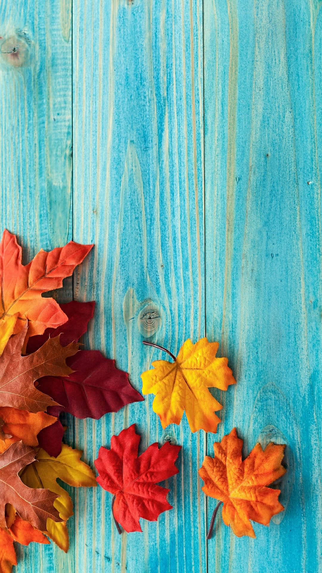 Maples Leaves, blue wood, red orange, Full HD Phone Wallpaper
