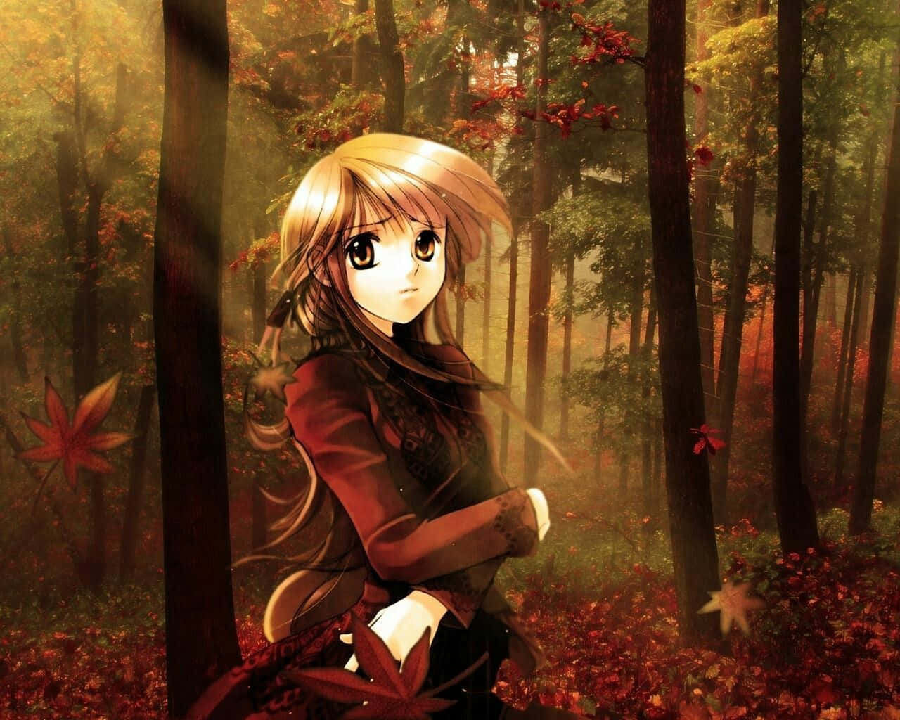 fall anime girl, dark forest, sunlit autumn forest, HD Desktop Wallpaper