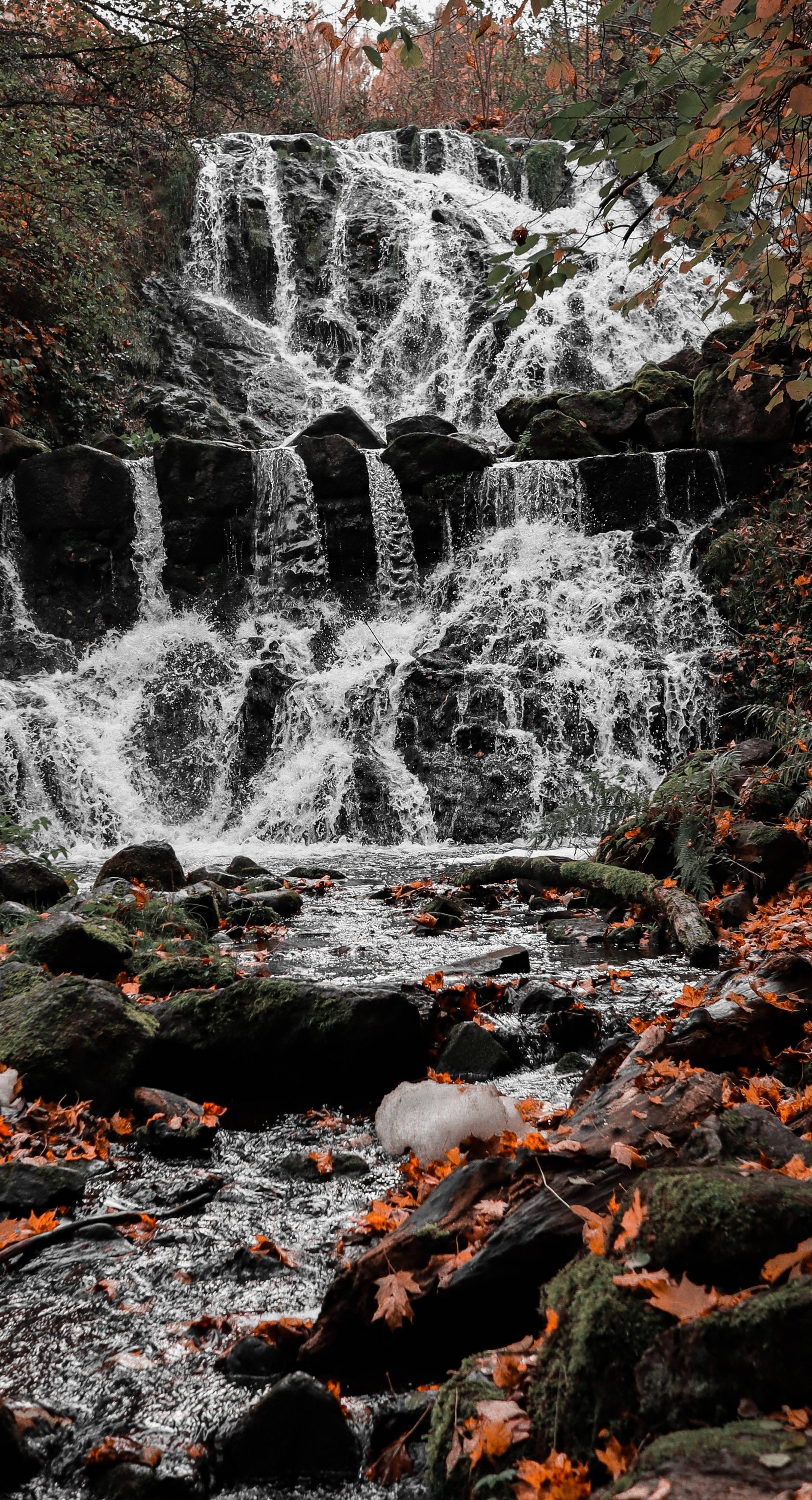 waterfall, maples leaves, autumn foliage, 4K Phone Wallpaper