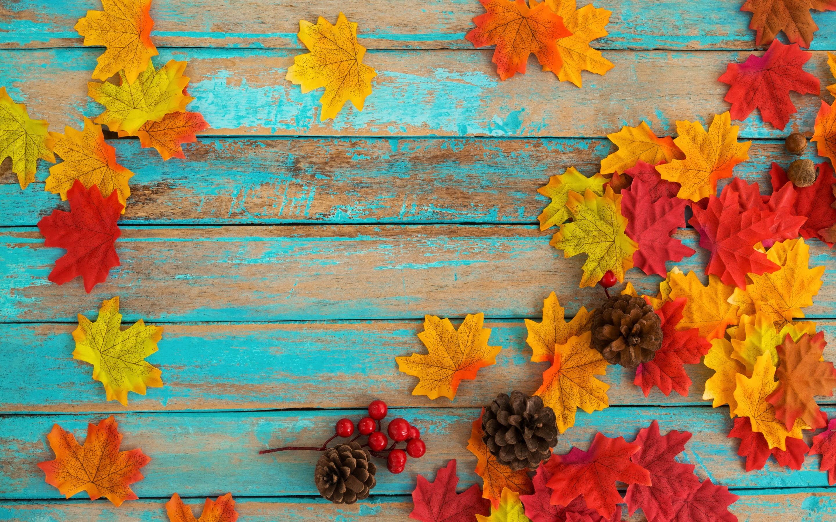 Maples Leaves And Acorns, autumn leaves, pinecones, 2K Desktop Wallpaper