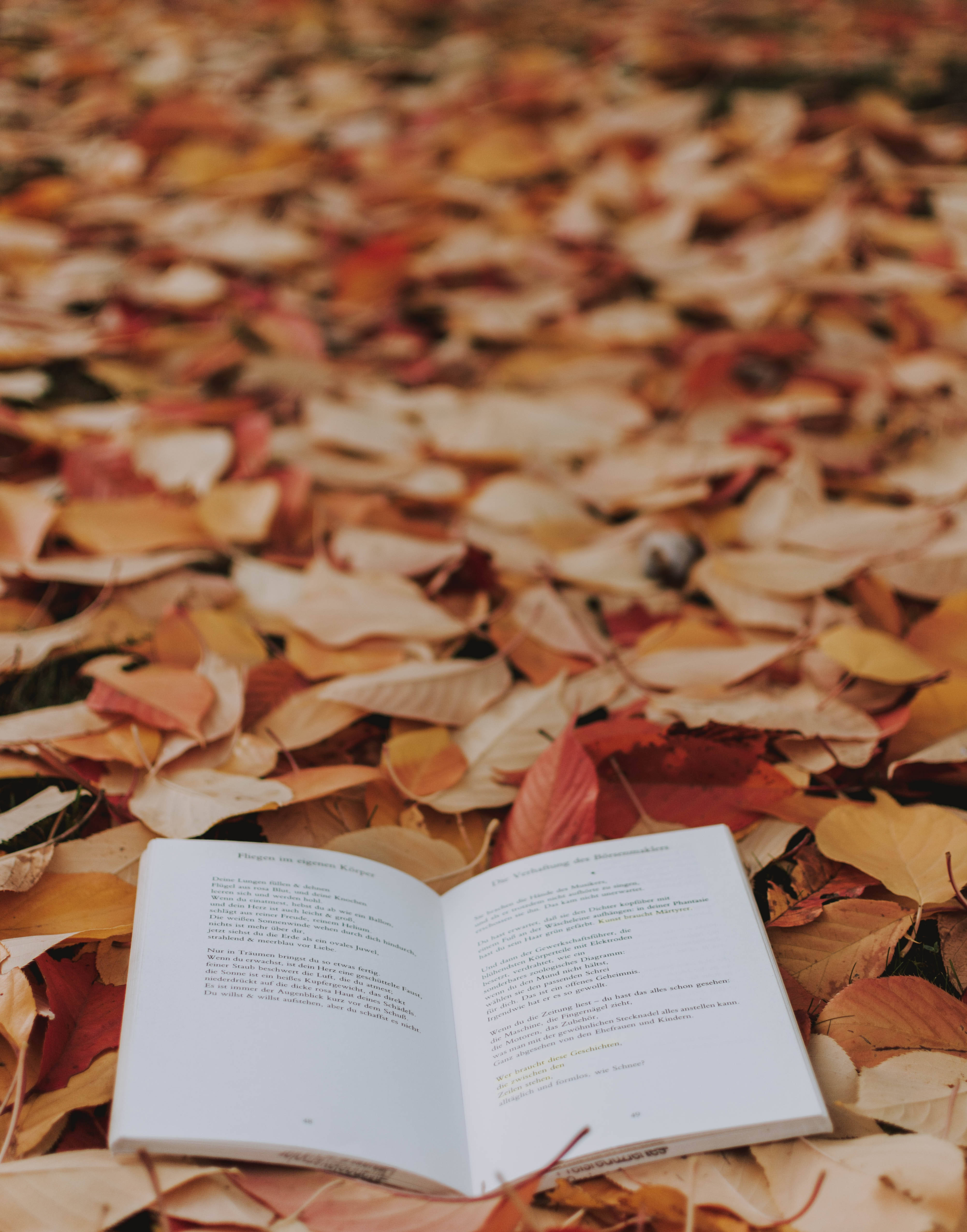 autumn, maples leaves, open book, 4K Phone Wallpaper