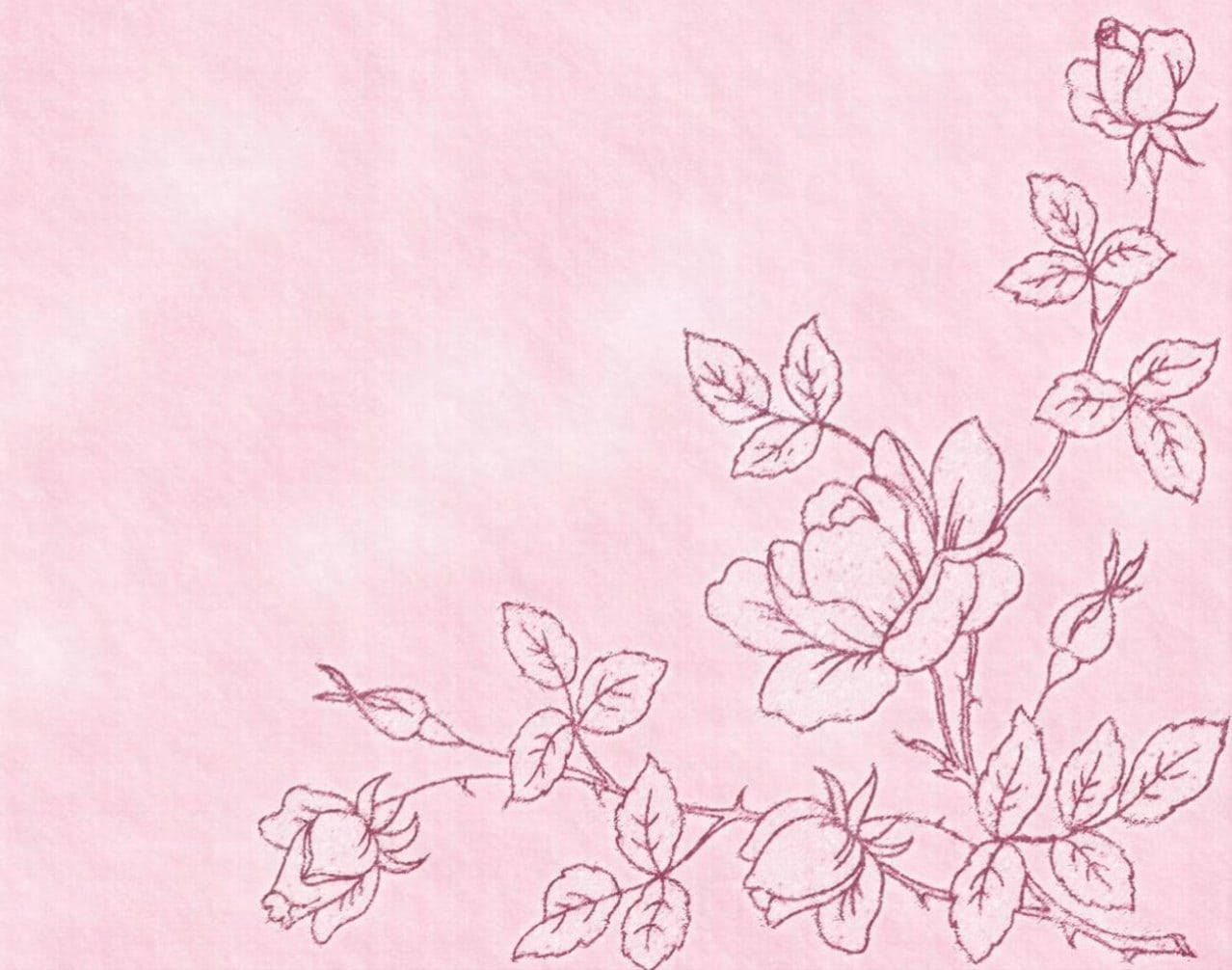 Marble Pink, flower drawing, rose vines, SD Desktop Wallpaper