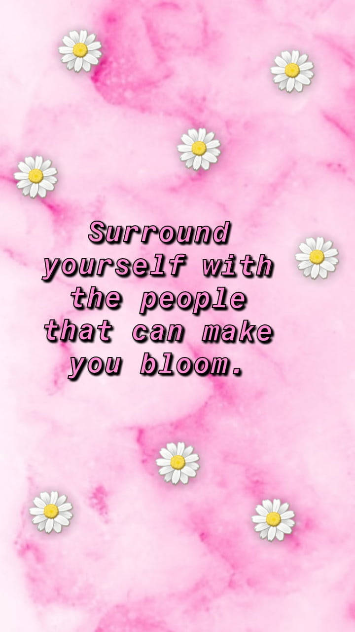 Marble Pink, pink marble background, white daisies, HD Phone Wallpaper