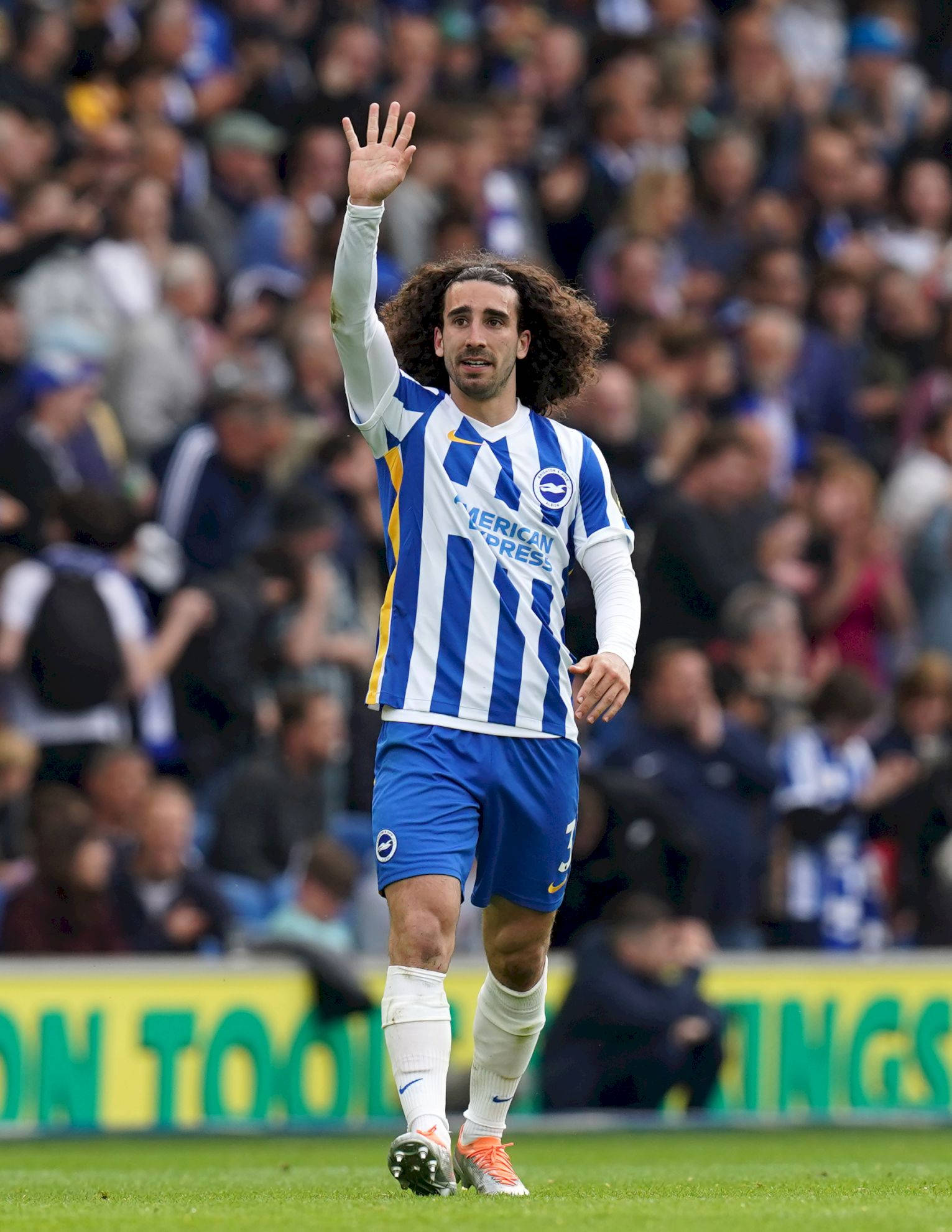 Marc Cucurella, blue and white striped kit, green pitch, Full HD Phone Wallpaper