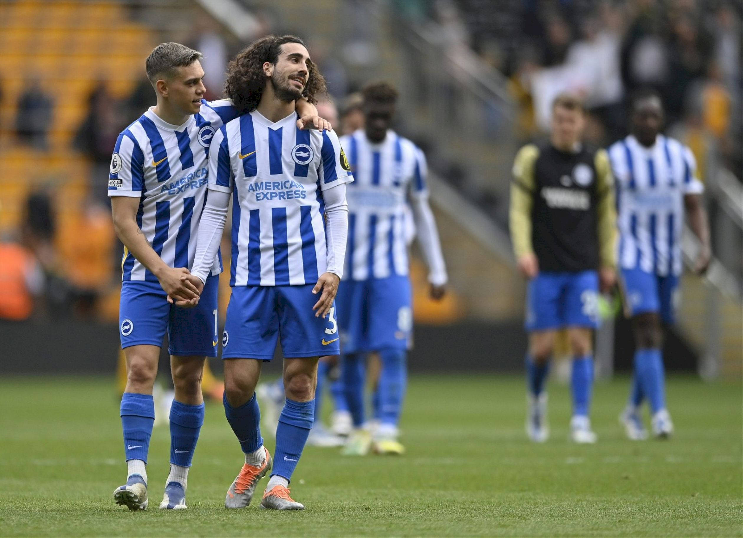Marc Cucurella, Brighton football players, blue and white striped kits, Full HD Desktop Wallpaper