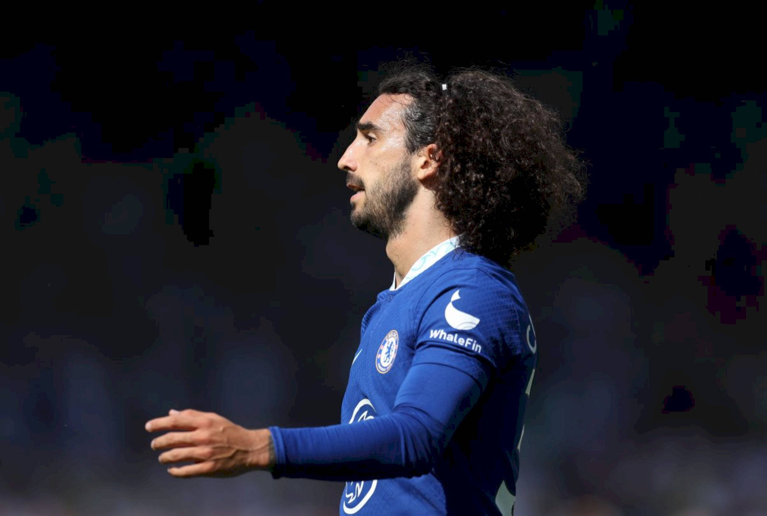 Marc Cucurella, blue Chelsea jersey, stadium background, Full HD Desktop Wallpaper