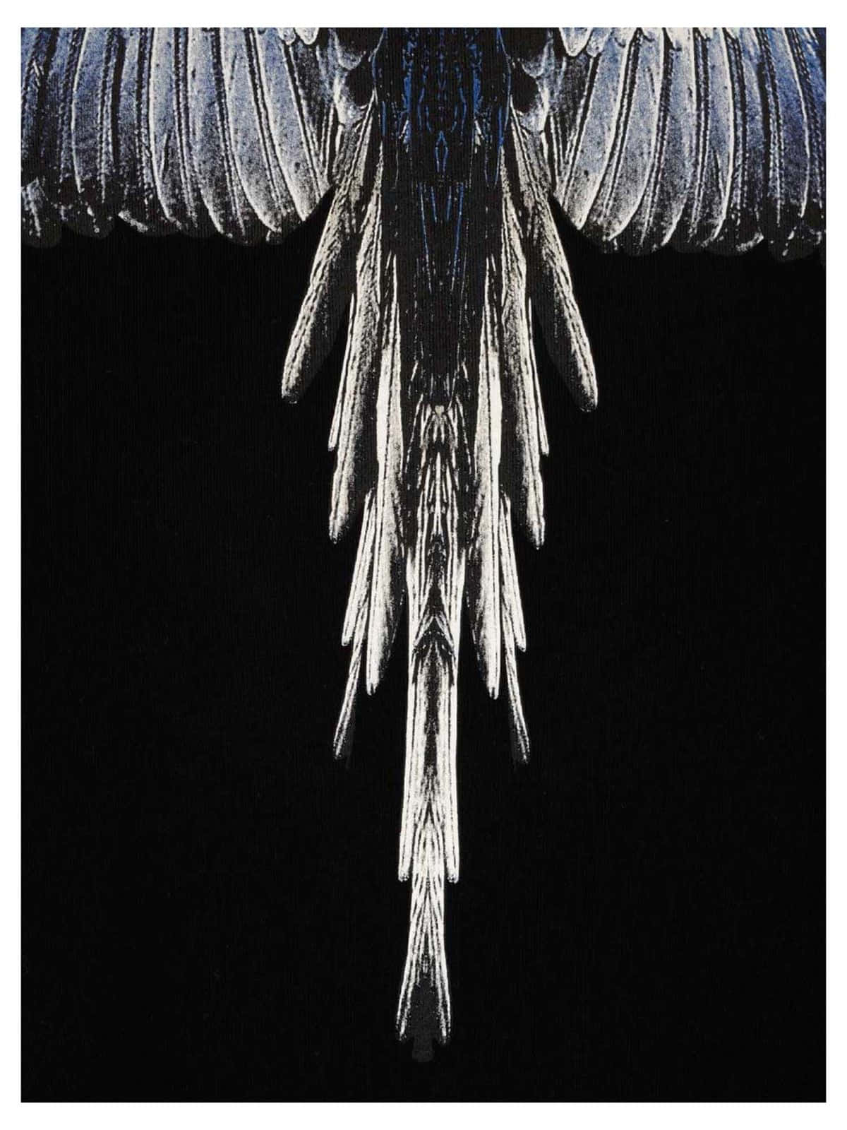 Marcelo Burlon, white black wings print, metallic blue feathers, HD Phone Wallpaper