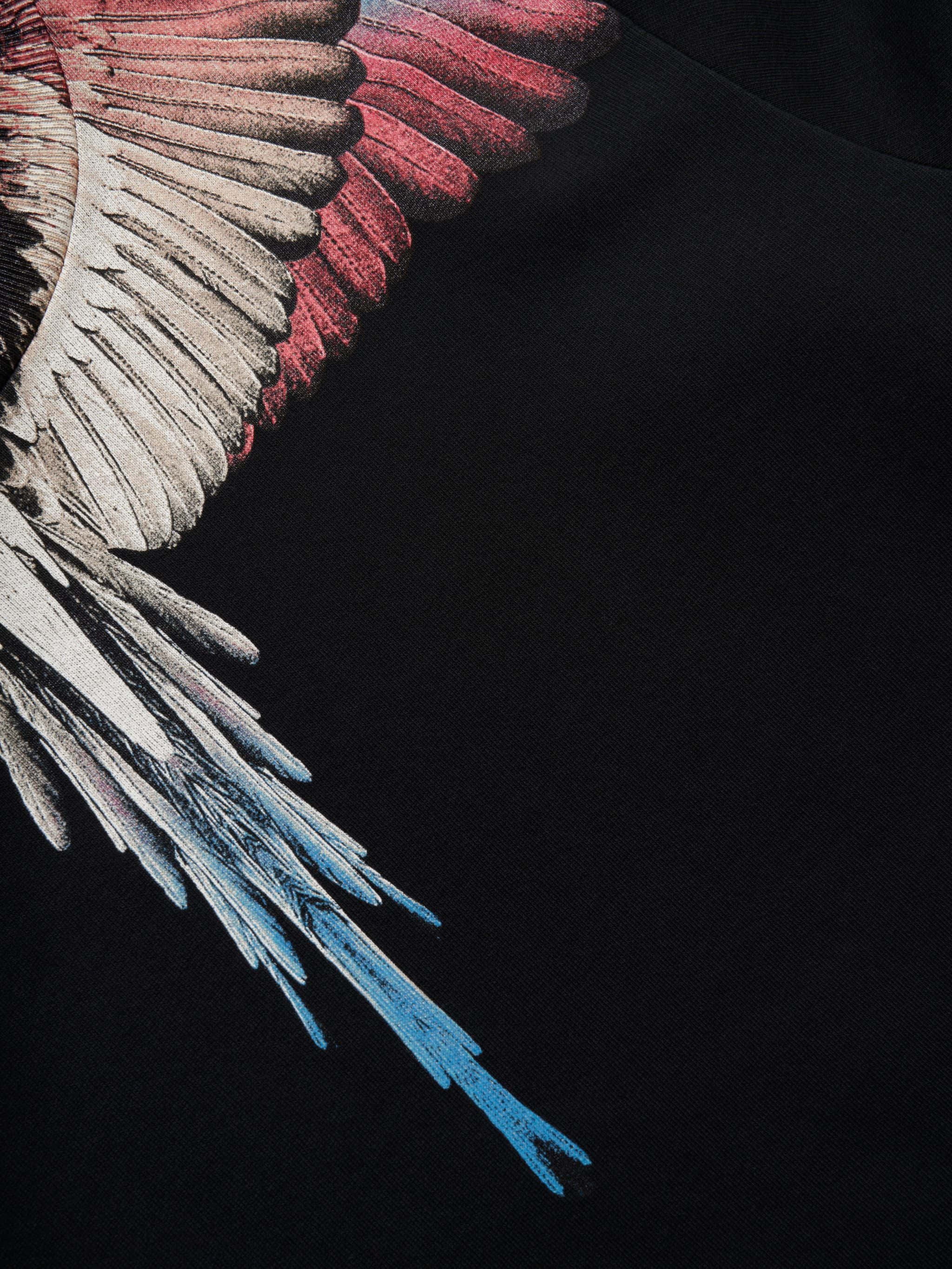 White Pink Blue Wings, Marcelo Burlon, red white and blue feathers, 2K Phone Wallpaper