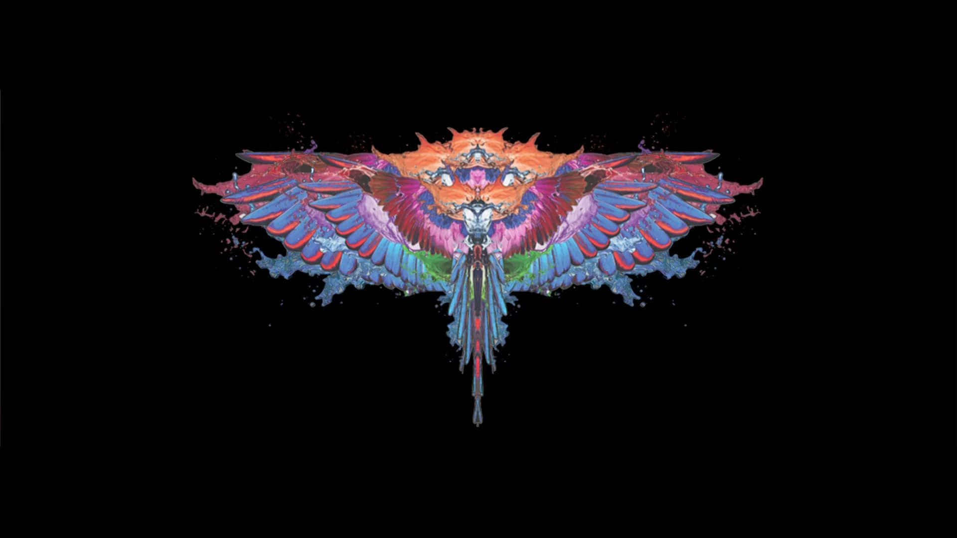 Marcelo Burlon, wings design, colorful, Full HD Desktop Wallpaper