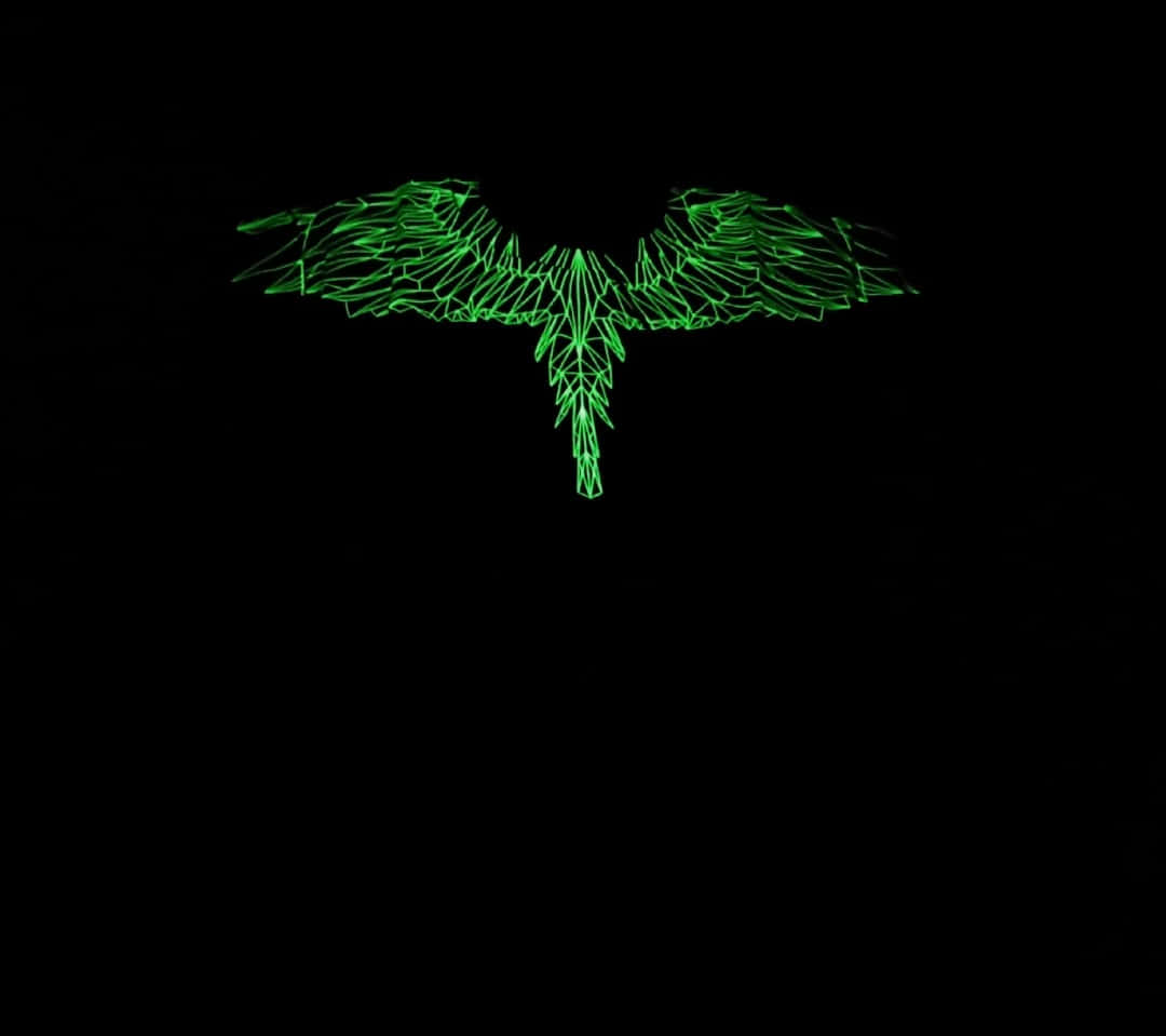 Marcelo Burlon, glowing green wings, bat silhouette, SD Desktop Wallpaper