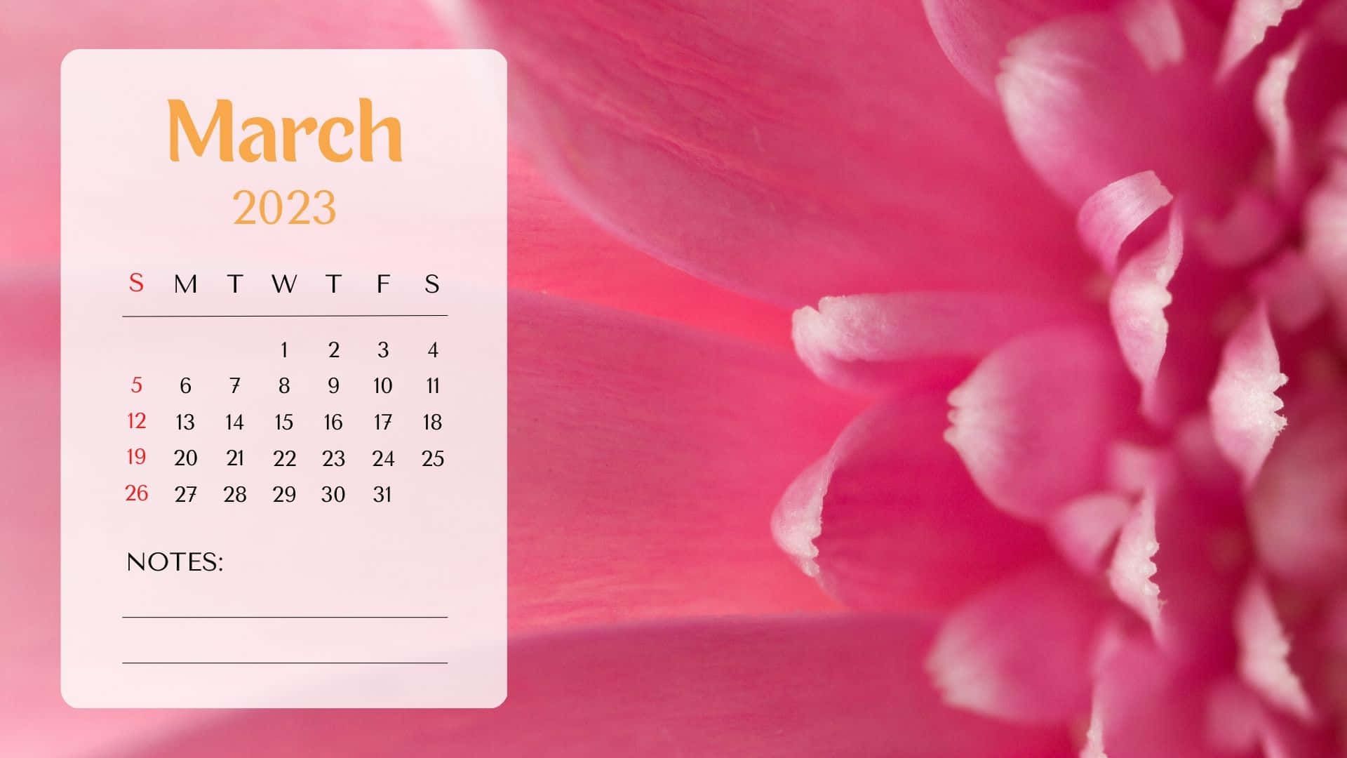 March 2023 Calendar, pink flower, soft pink floral background, Full HD Desktop Wallpaper