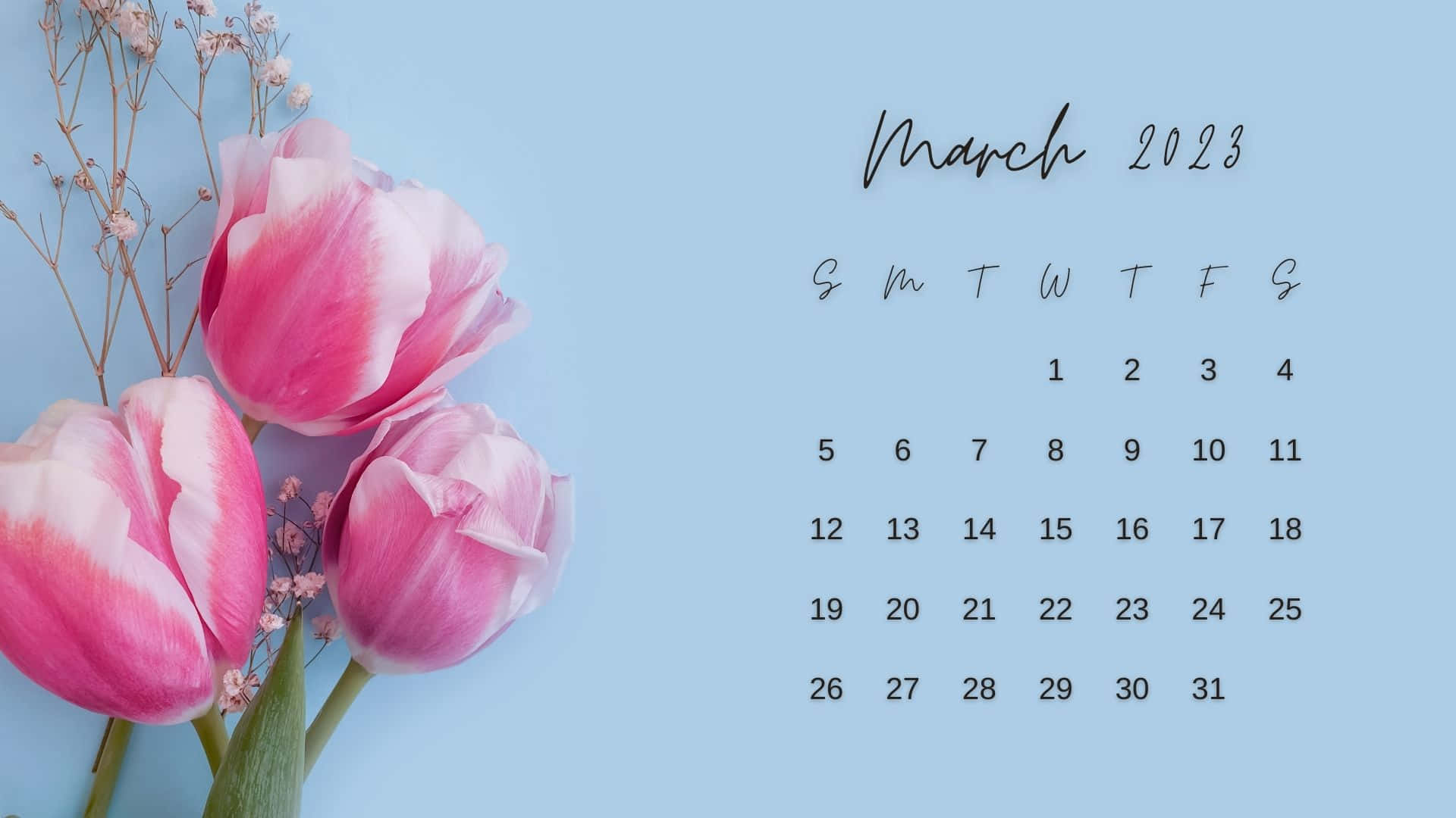 March 2023 calendar, pink tulips, baby's breath, Full HD Desktop Wallpaper