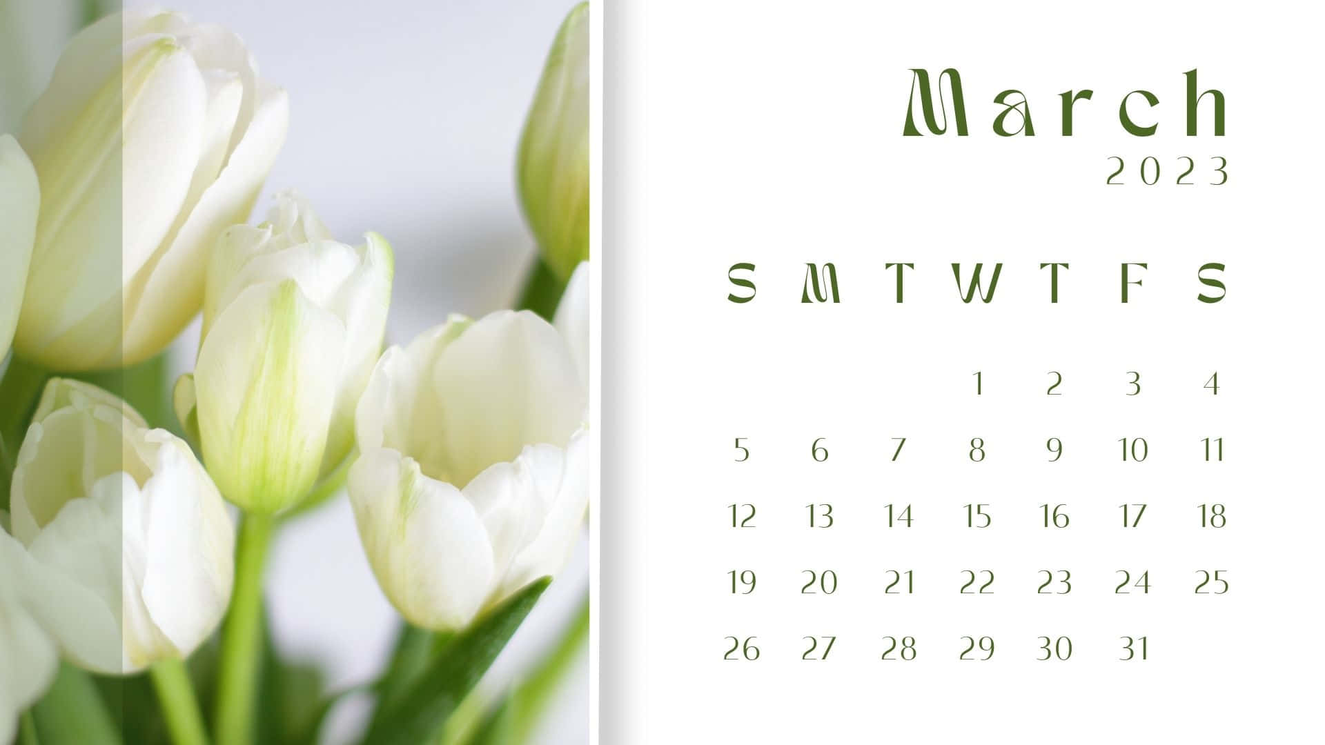 March 2023 Calendar, white tulips, green stems, Full HD Desktop Wallpaper