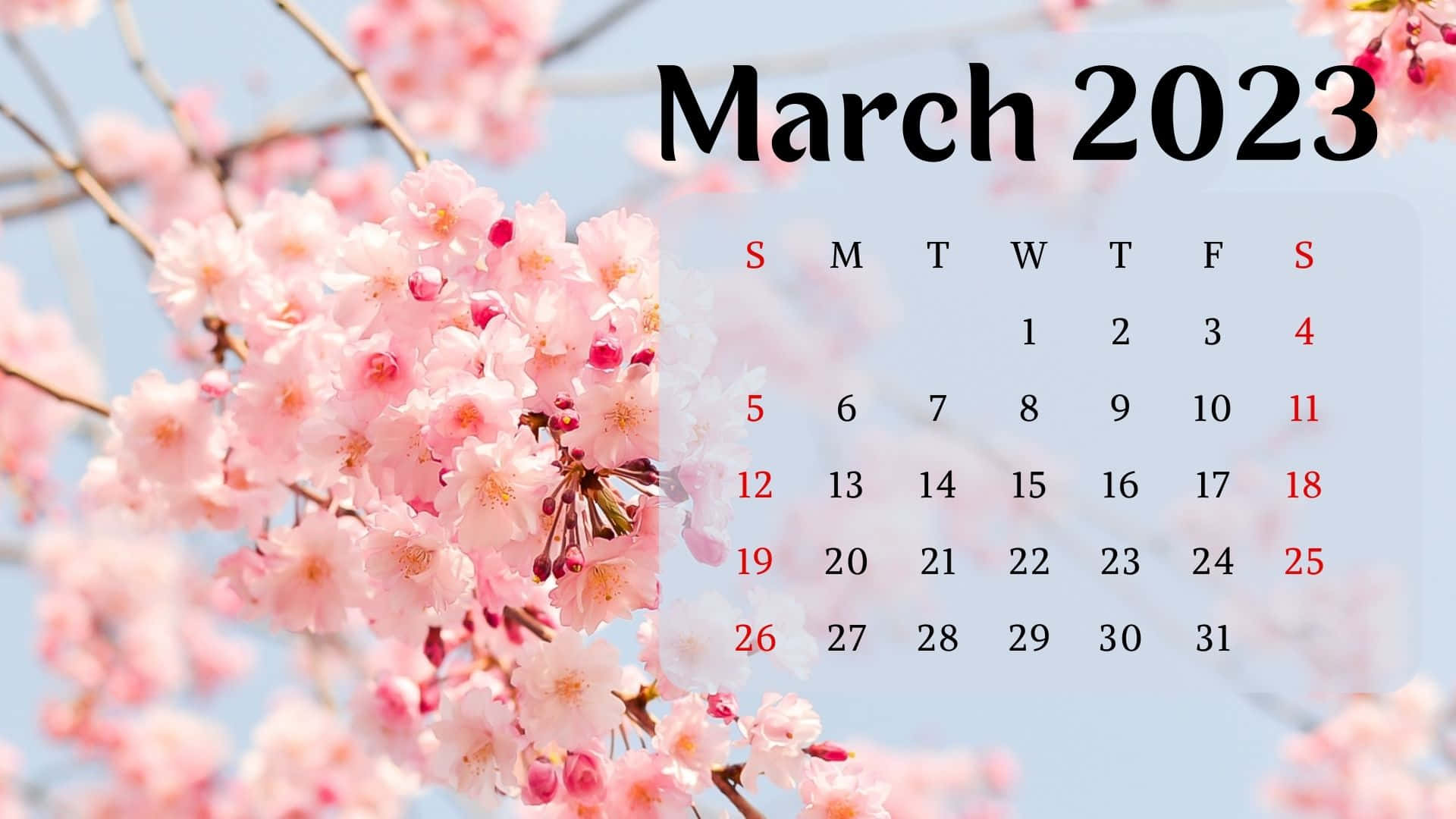March 2023 Calendar, pink cherry blossoms, clear blue sky, Full HD Desktop Wallpaper