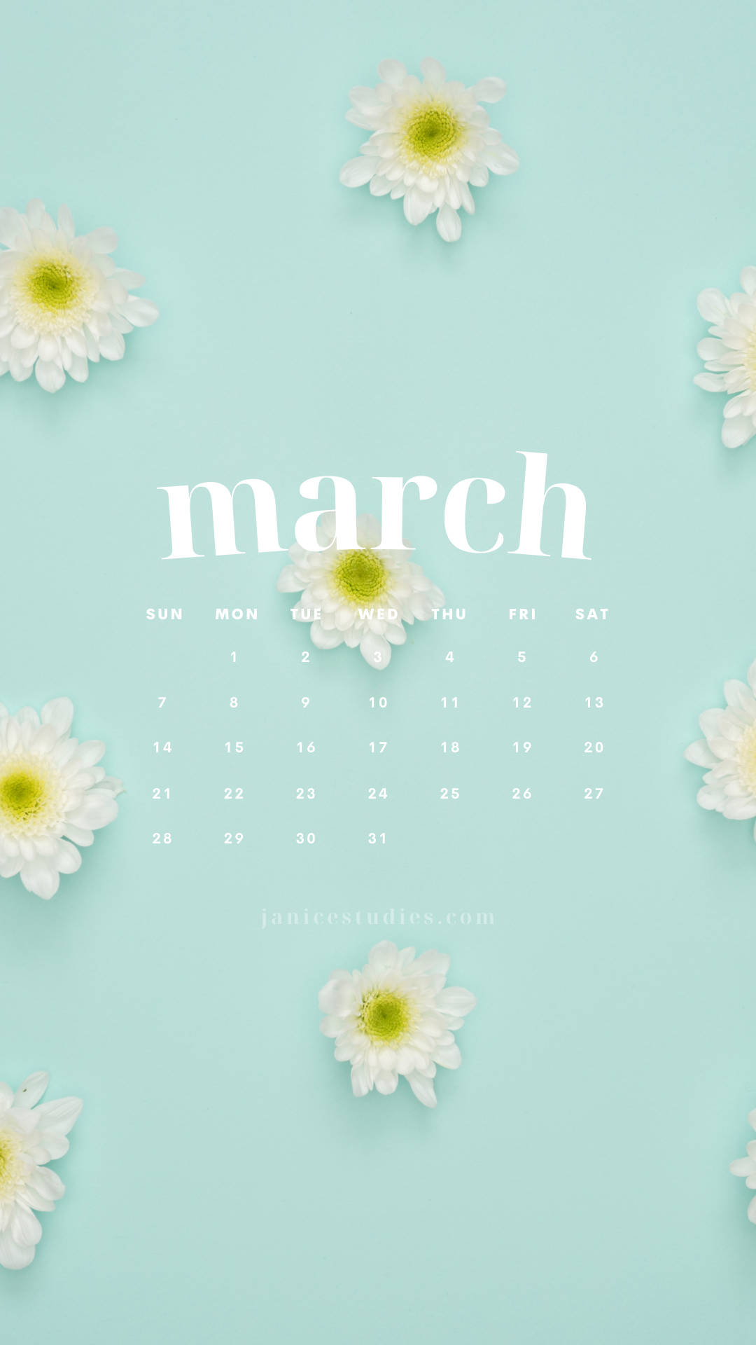 March Calendar, soft mint green, white daisies, Full HD Phone Wallpaper