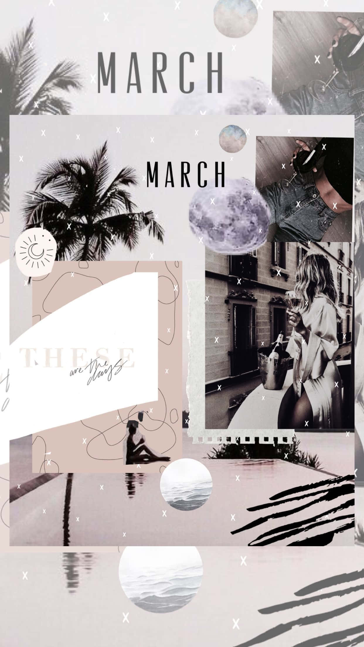 March Collage Aesthetic, palm trees, moon phases, Full HD Phone Wallpaper