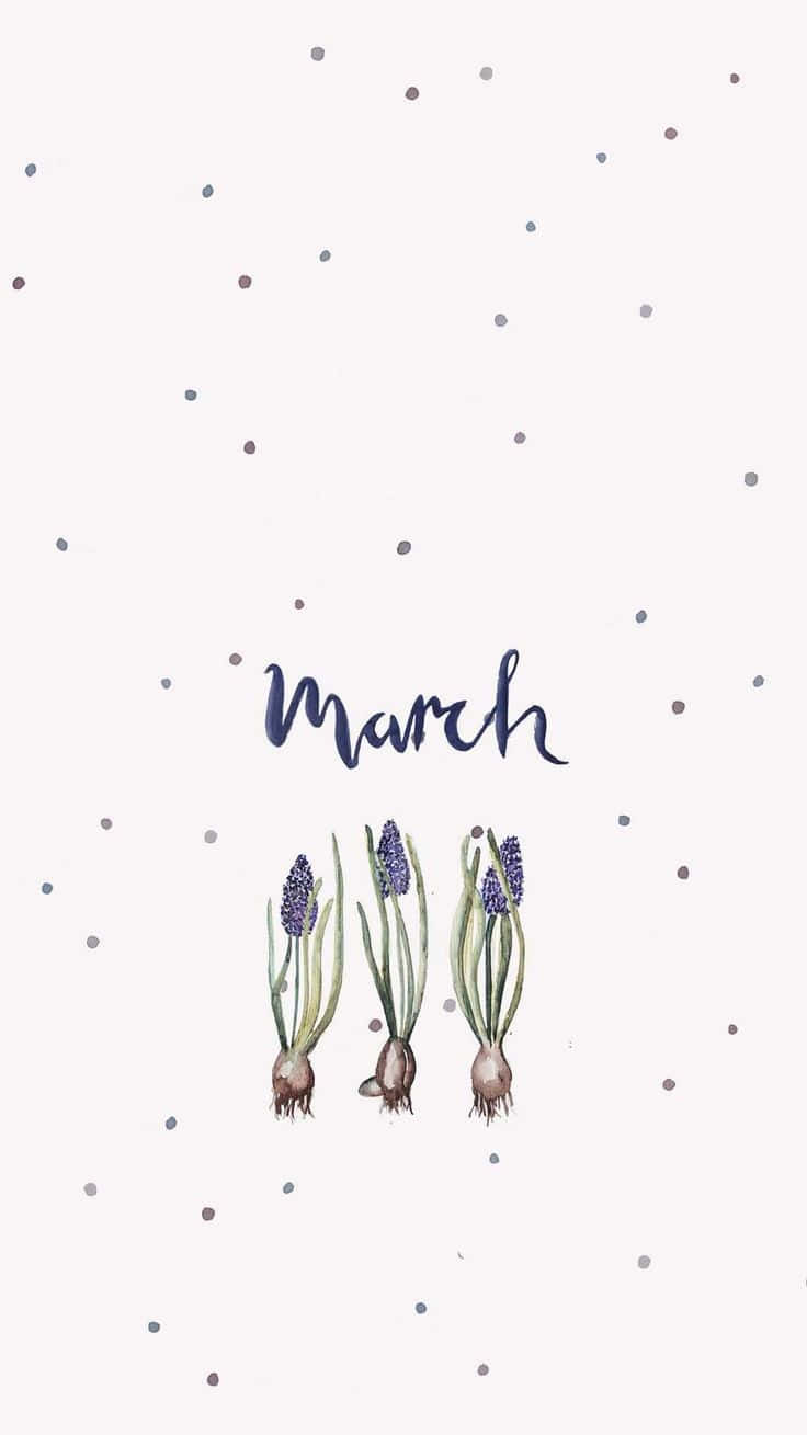 March, lavender sprigs, watercolor illustration, HD Phone Wallpaper