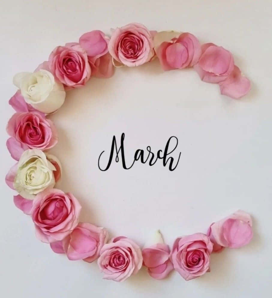 March, pink and white roses, black script, SD Phone Wallpaper