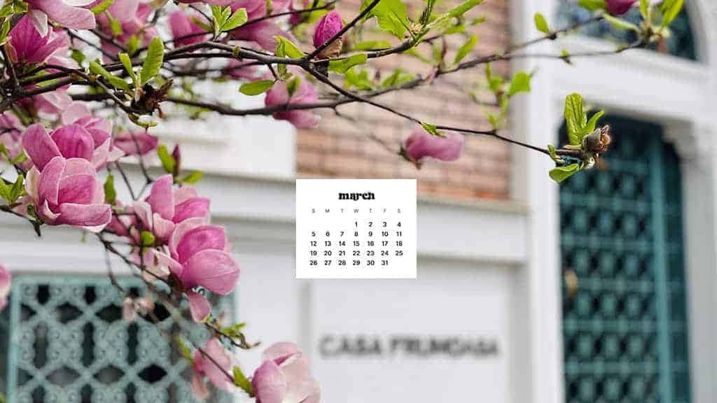 March calendar overlay, pink magnolia blossoms, white building, SD Desktop Wallpaper