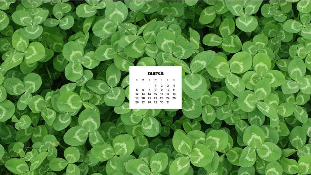 March calendar, lush field, vibrant green clover leaves, SD Desktop Wallpaper
