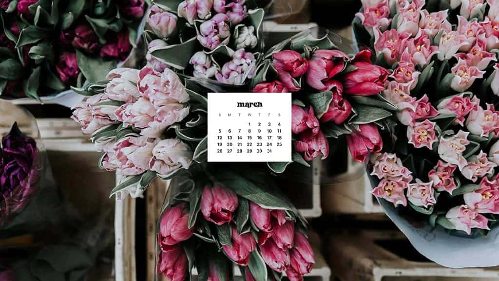 March calendar, pink, magenta, SD Desktop Wallpaper