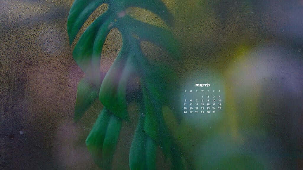 monstera leaf, calendar overlay, textured background, SD Desktop Wallpaper