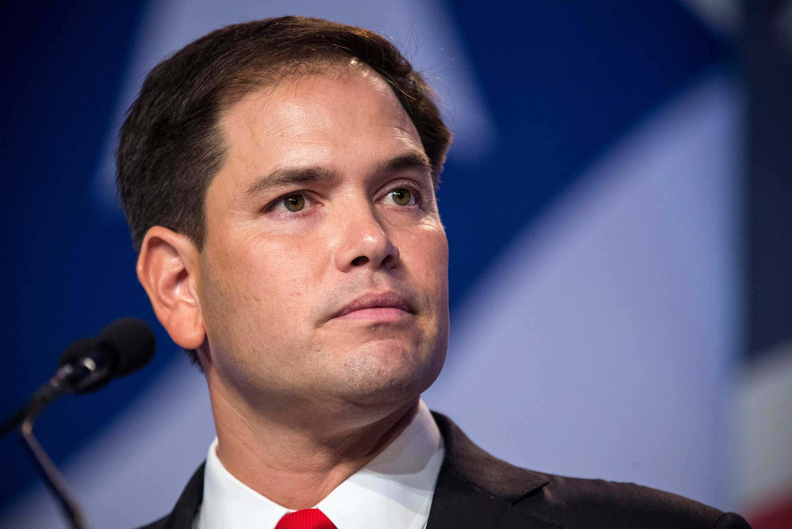 Marco Rubio, suit, red tie, 2K Desktop Wallpaper