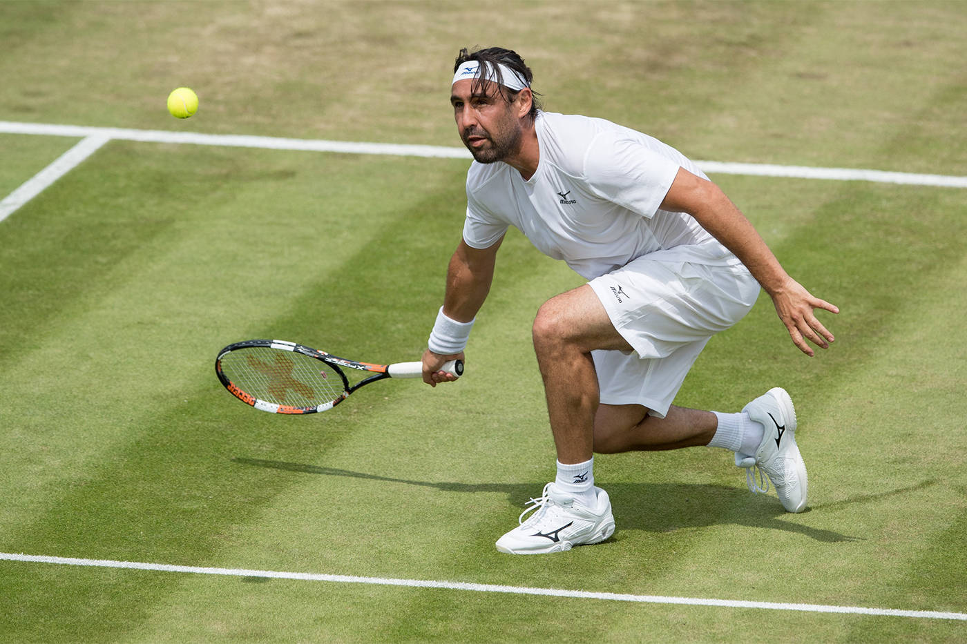 Marcos Baghdatis, white gear, grass court, HD Desktop Wallpaper