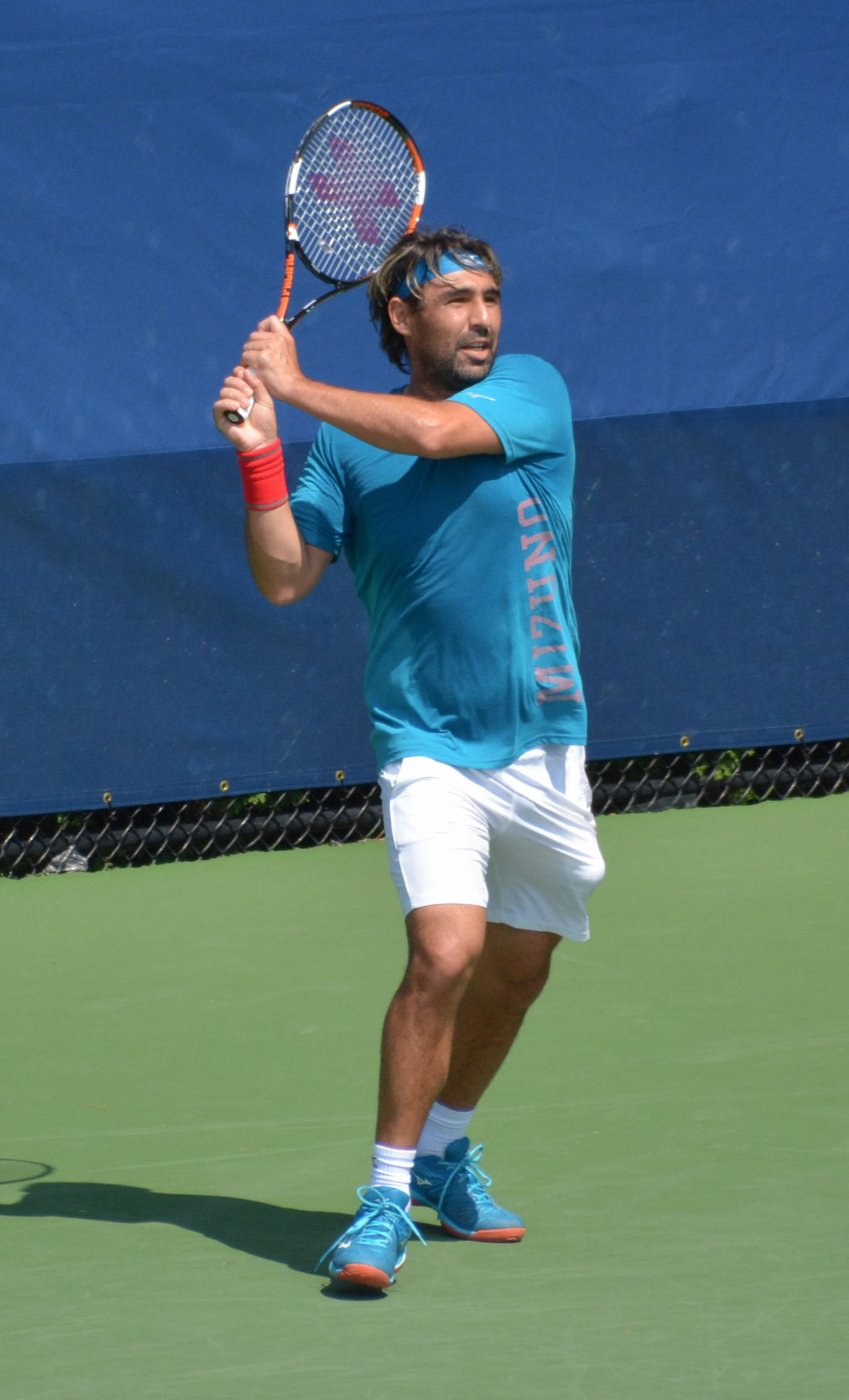Marcos Baghdatis, blue shirt, white shorts, Full HD Phone Wallpaper