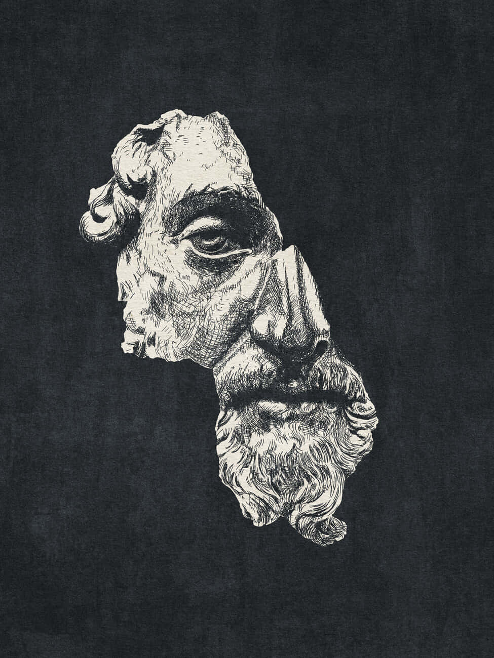 Marcus Aurelius, bearded man, profile, HD Phone Wallpaper