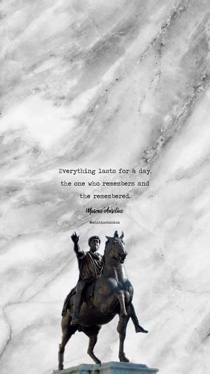Marcus Aurelius, bronze equestrian statue, swirling marble background, HD Phone Wallpaper