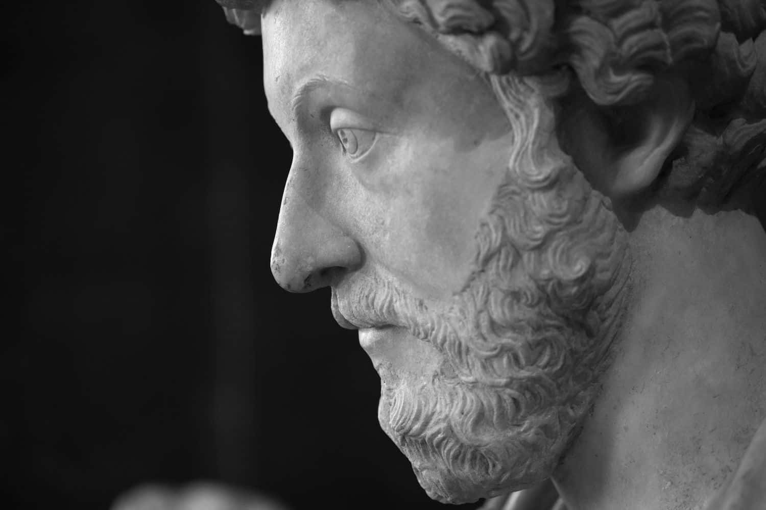 Marcus Aurelius, bust, profile, HD Desktop Wallpaper