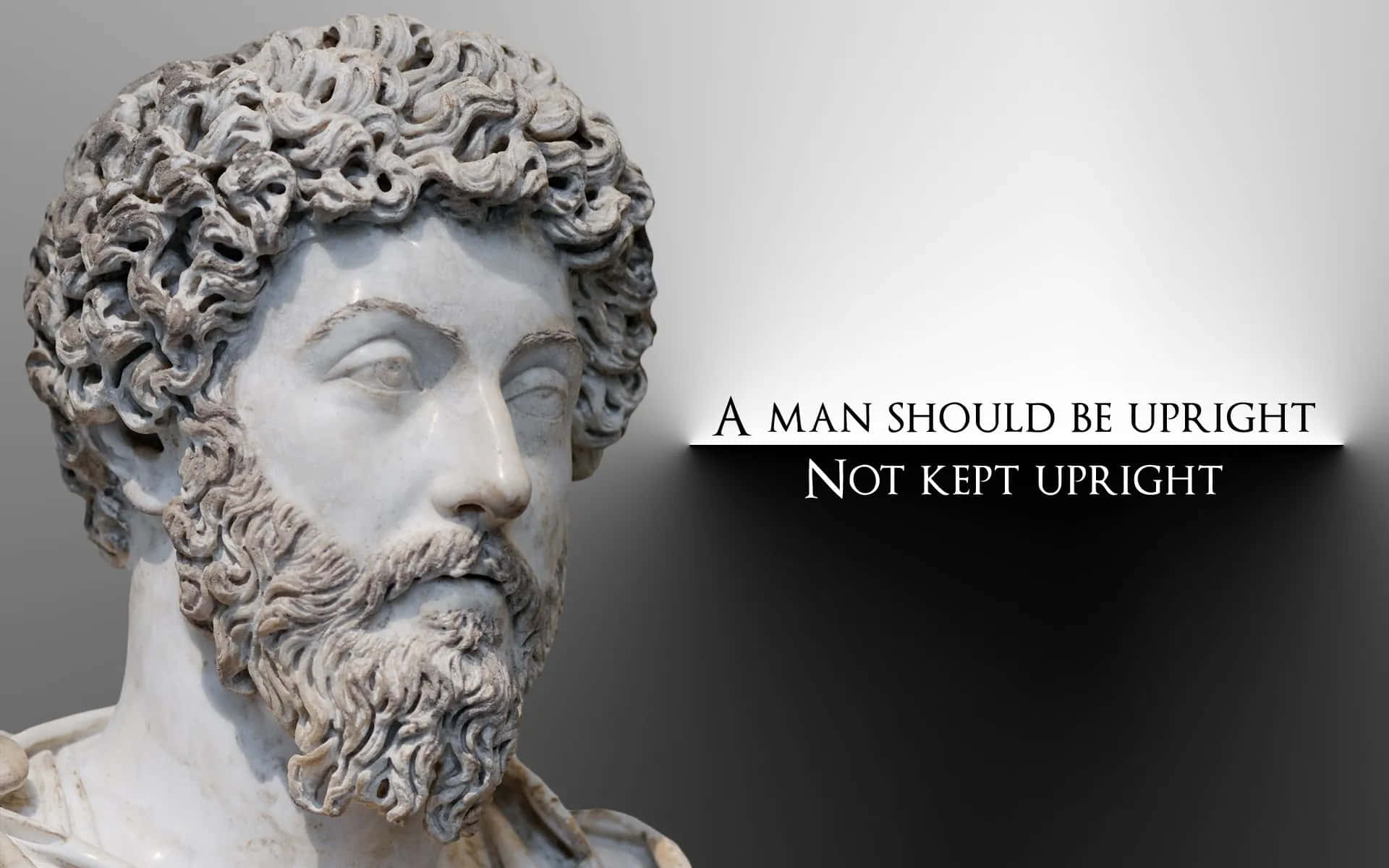 Marcus Aurelius, bust, bearded man, Full HD Desktop Wallpaper