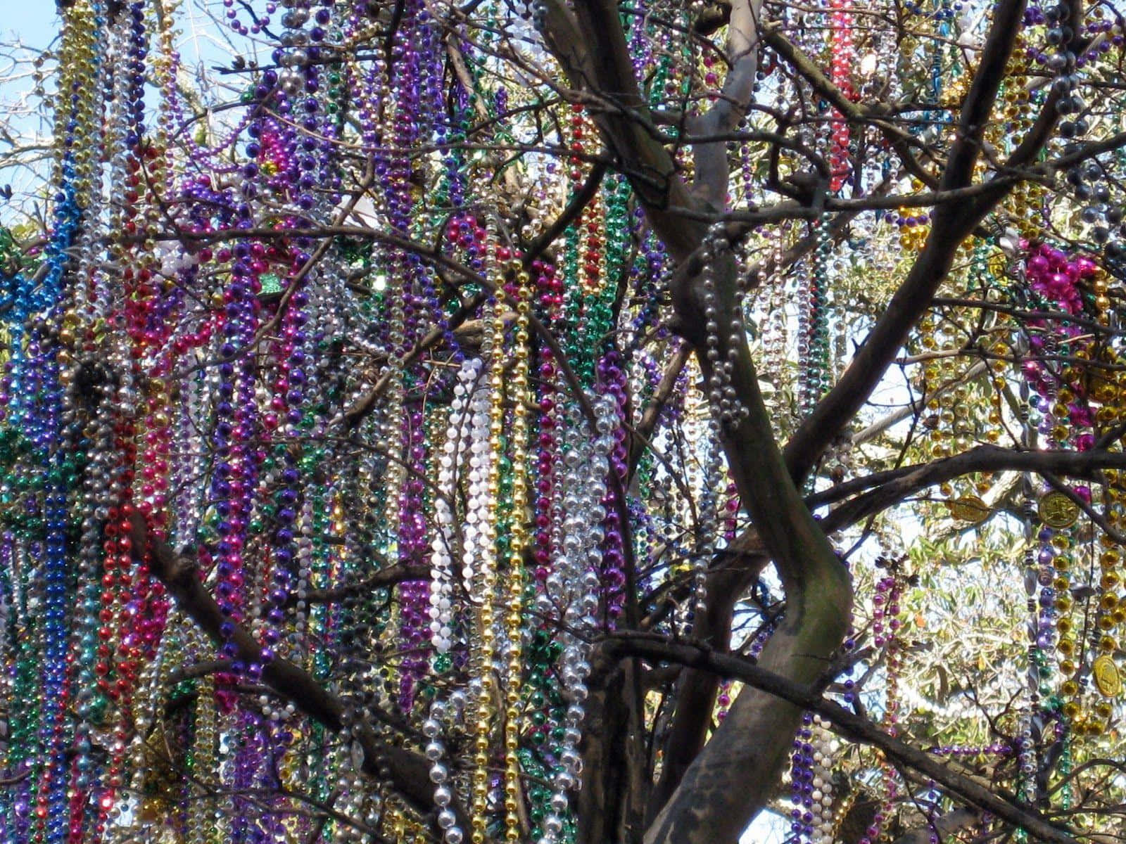 Mardi Gras, colorful Mardi Gras beads, bare tree branches, HD Desktop Wallpaper