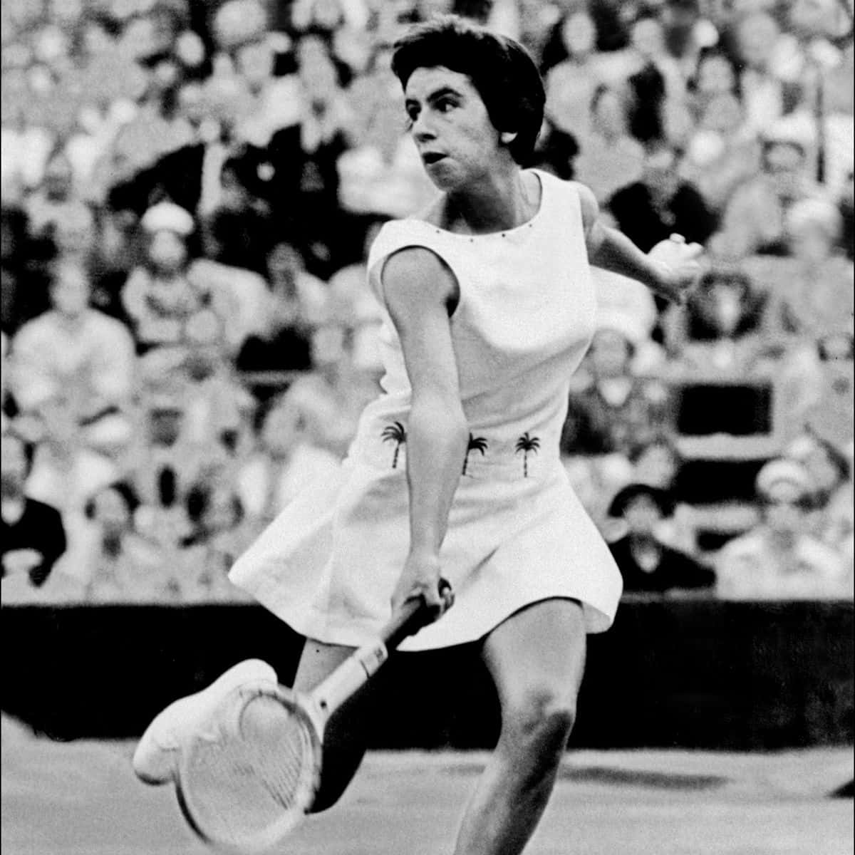 Maria Bueno, white dress, palm tree embroidery, SD Desktop Wallpaper