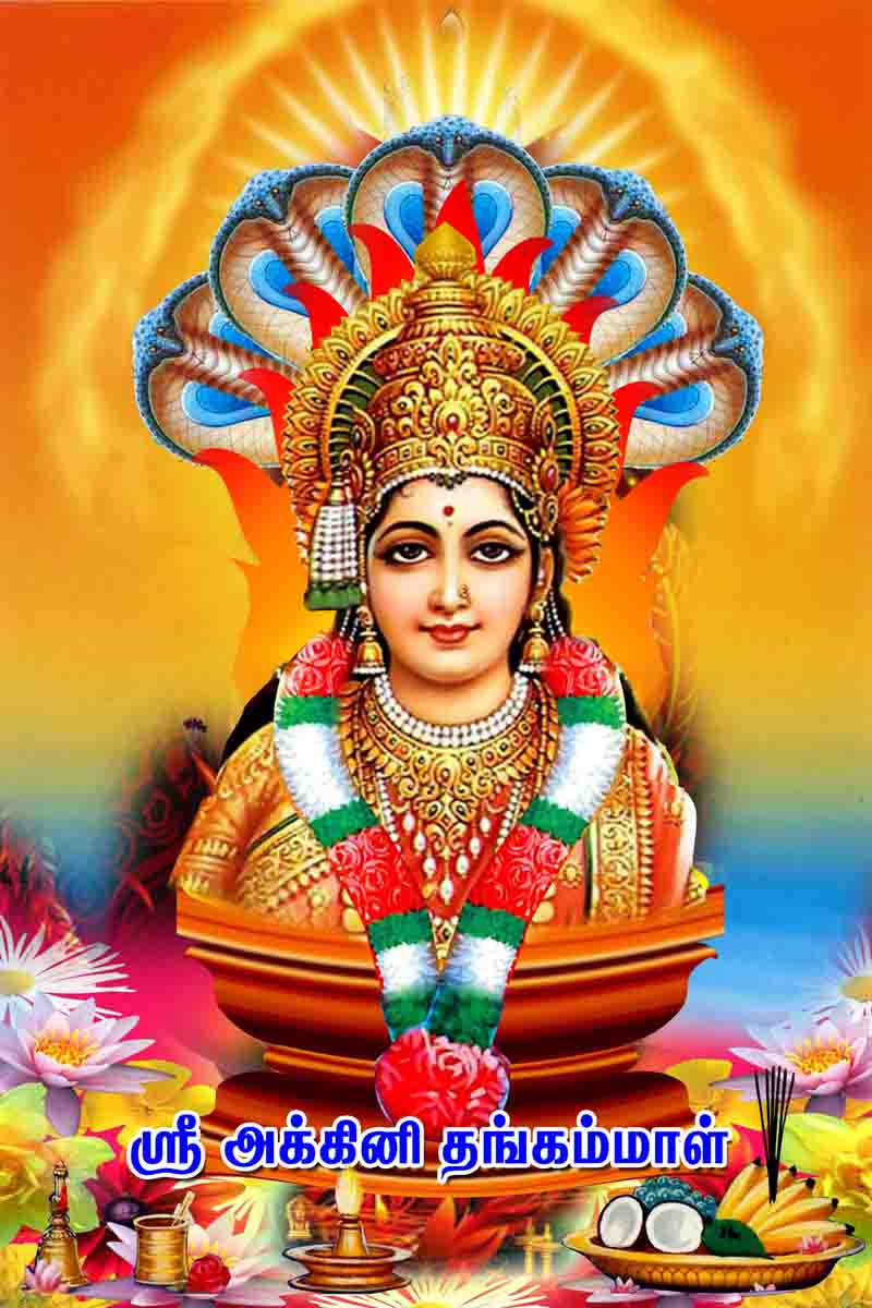 Mariamman, golden jewelry, peacock-feather crown, SD Phone Wallpaper