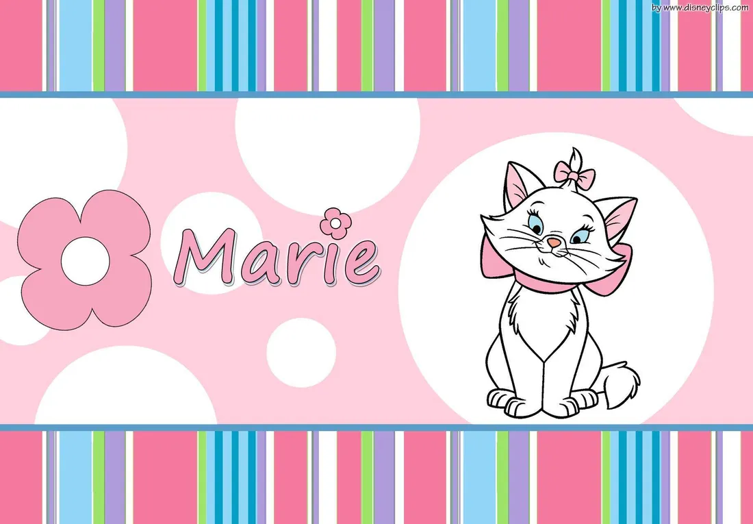 Marie cat