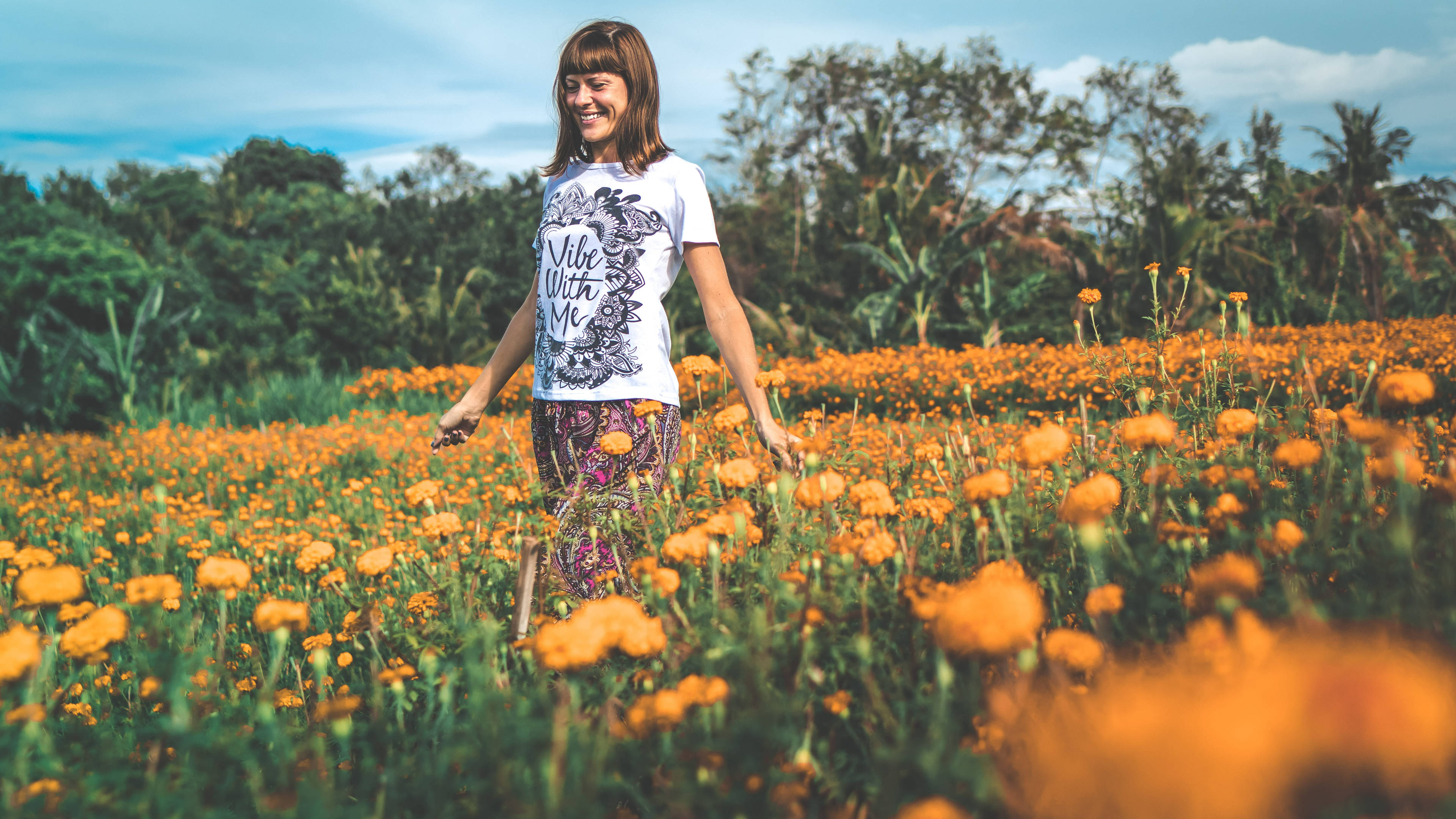 marigold flower field, orange marigolds, bright blue sky, 4K Desktop Wallpaper