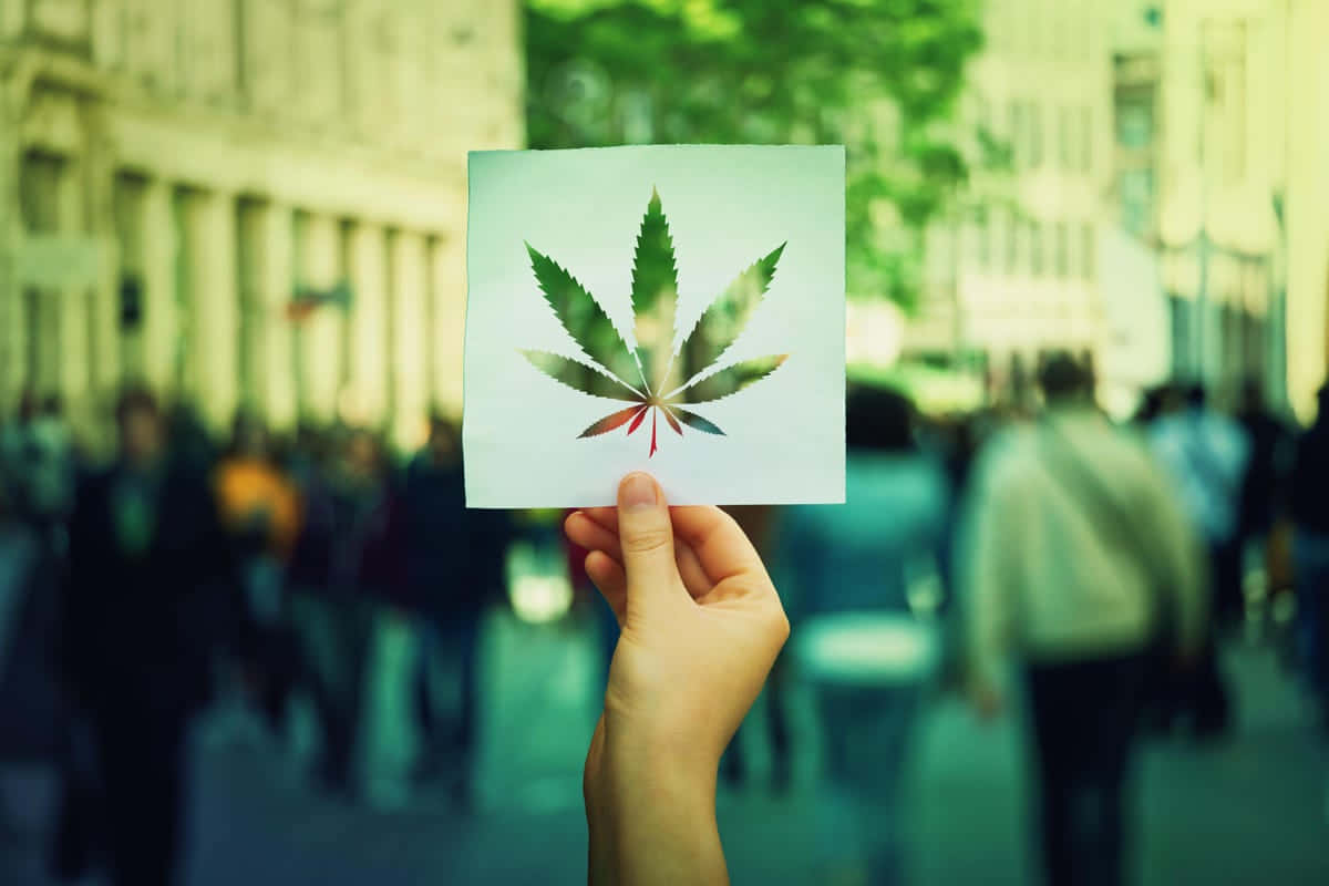 Punitive Cannabis Landscape, cannabis leaf, urban street backdrop, SD Desktop Wallpaper
