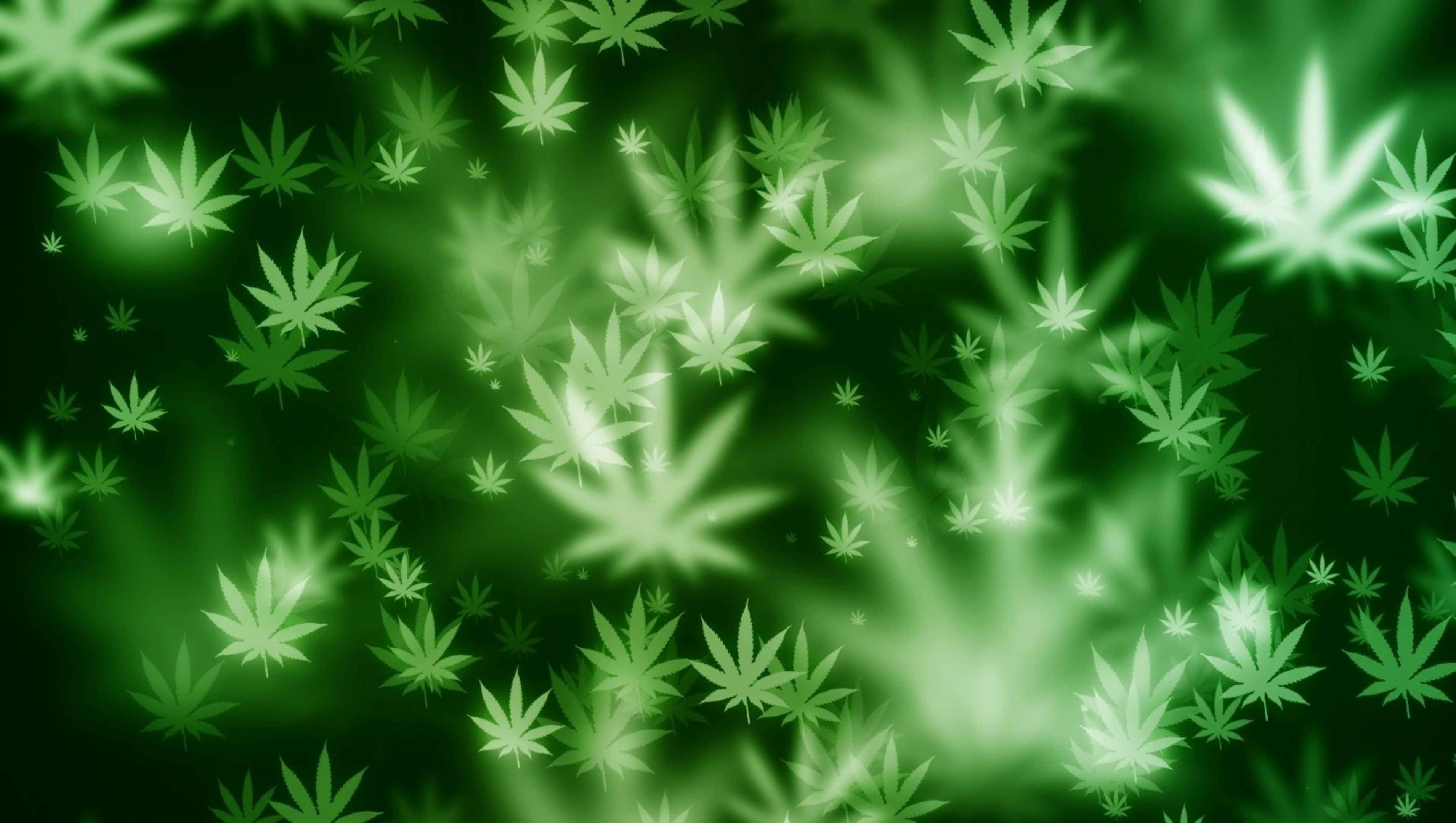 4K, cannabis leaves, glowing green, 2K Desktop Wallpaper