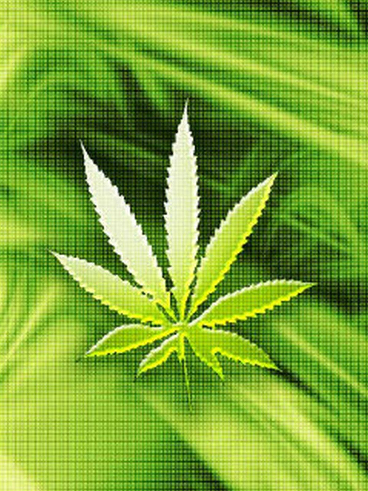 cannabis leaf, vibrant green pixelated background, glowing white, HD Phone Wallpaper